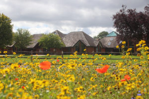 Highfield and Brookham field