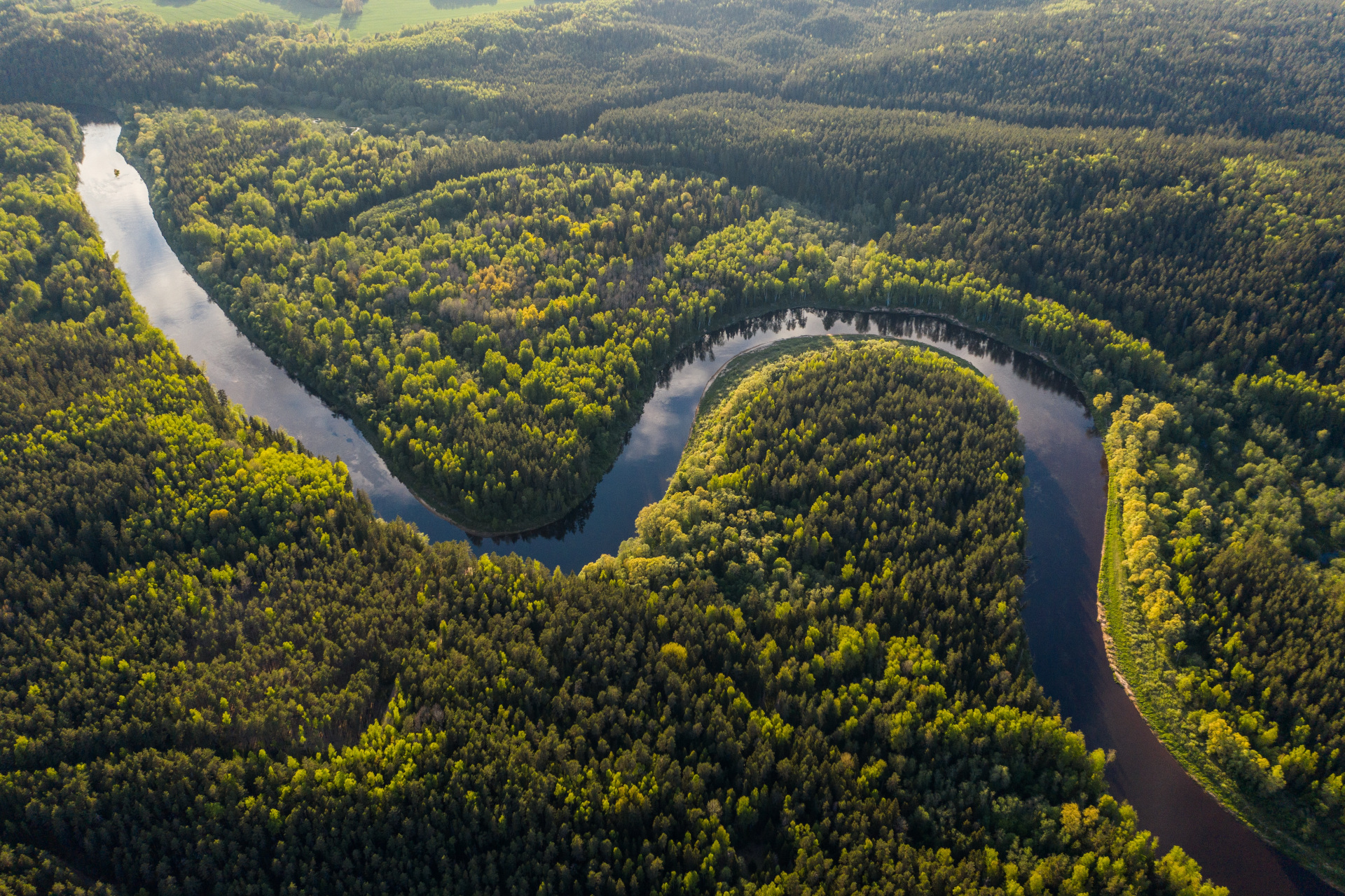 Aerial view of Amazon