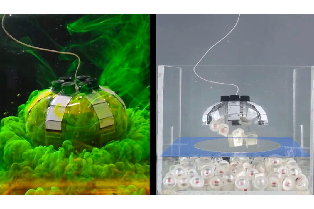 AI Tool Will Help FastTrack Cancer Treatment (& More Good News To