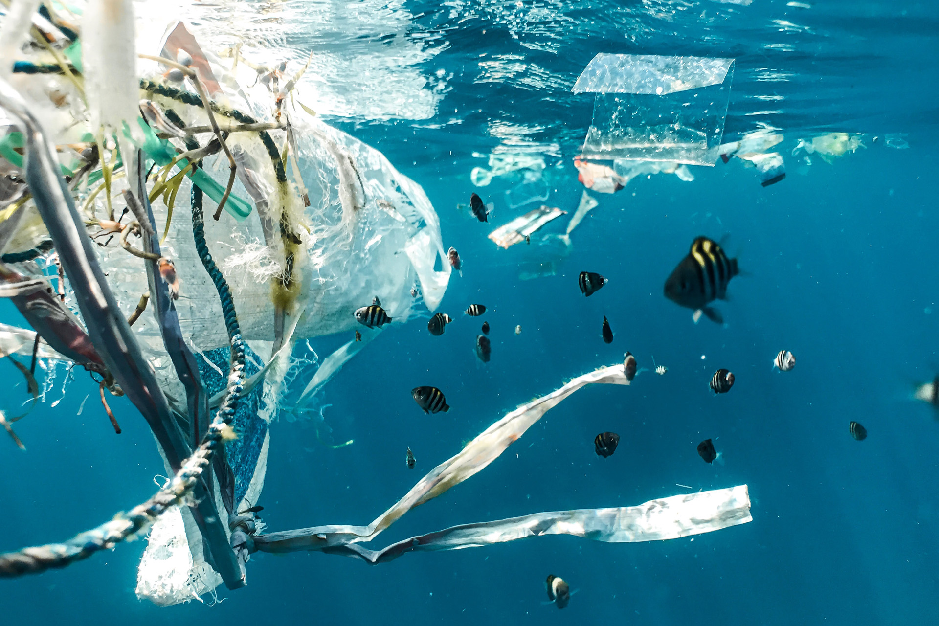 The Green Coach: Why Don’t We Just Boycott Plastic?