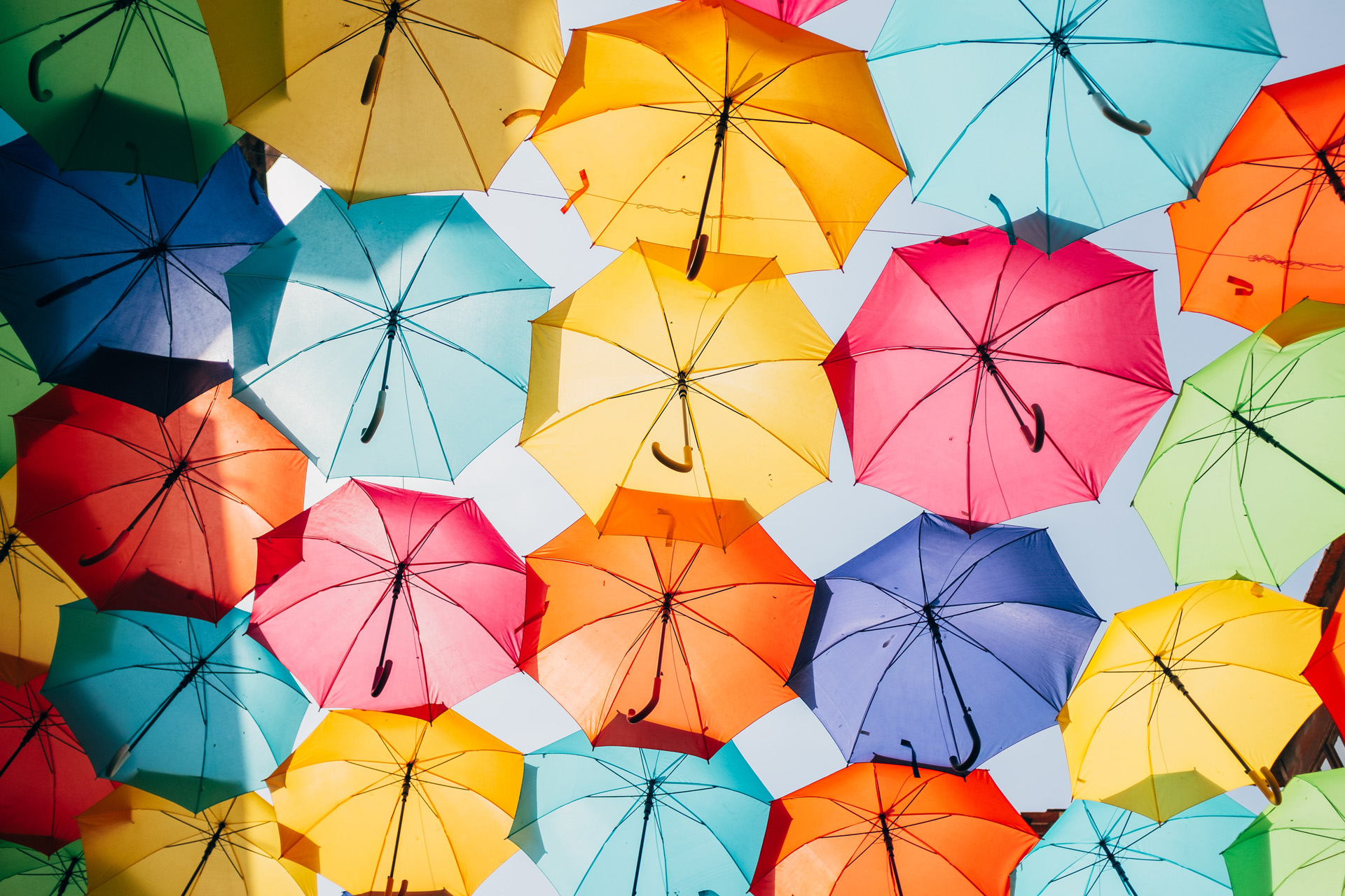 Could A Giant Space Umbrella Solve The Climate Crisis?