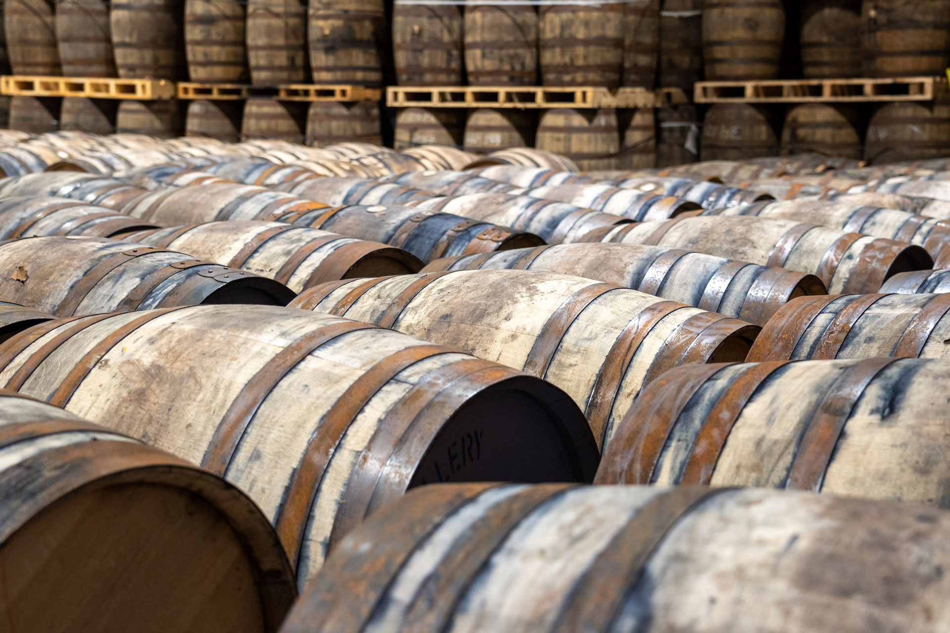 Vintage Acquisitions: The Art of Investing in Scotch Whisky Casks