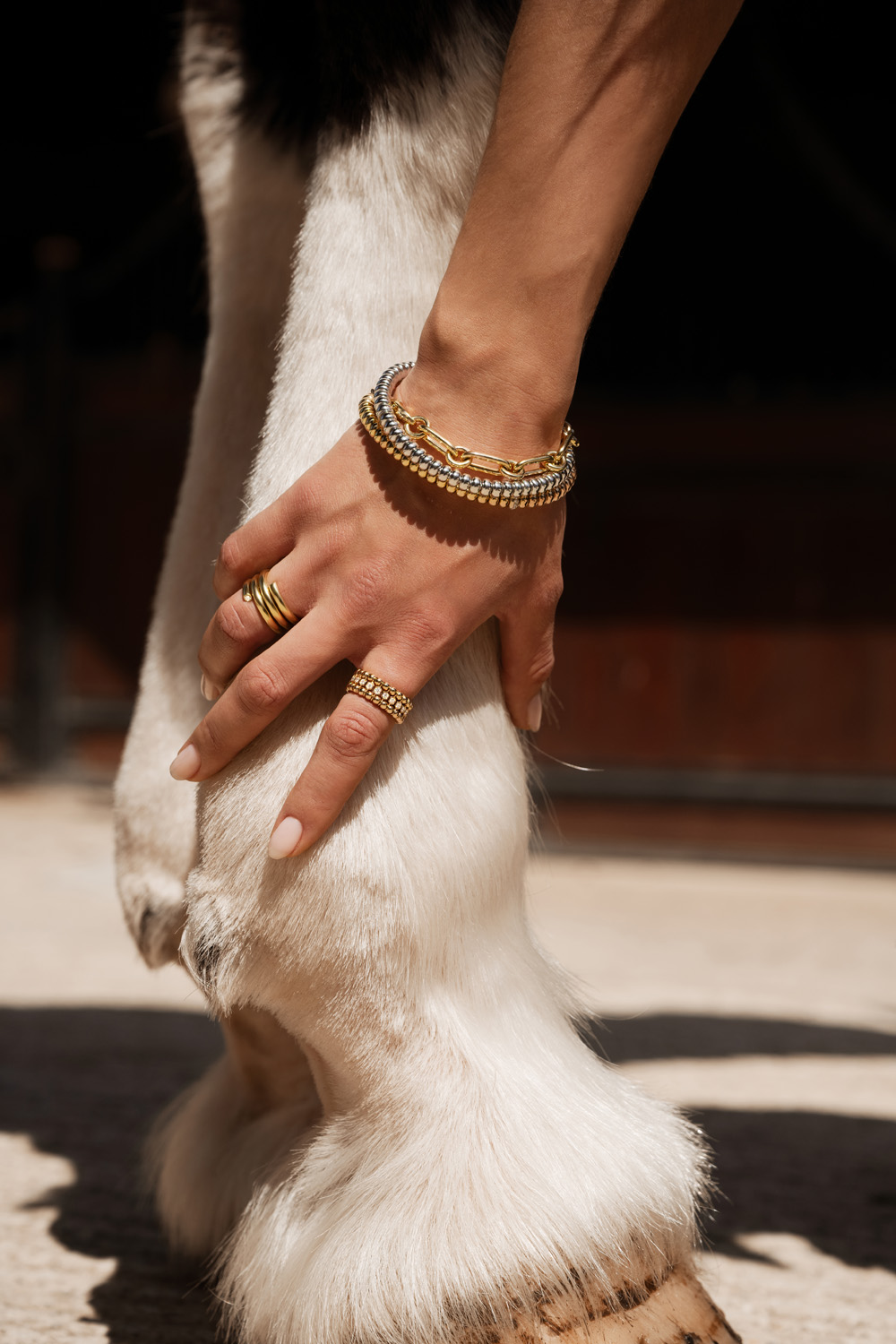 Jemima's hand on a horse leg