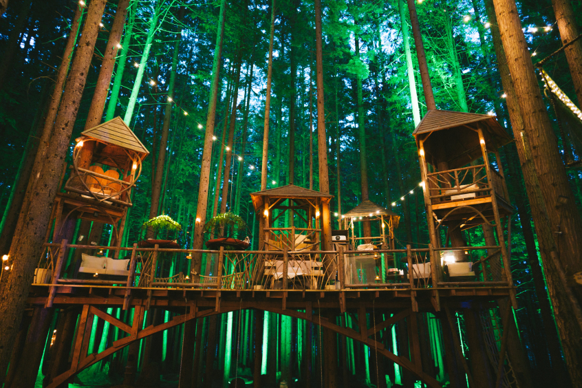 The Emerald Forest Theater