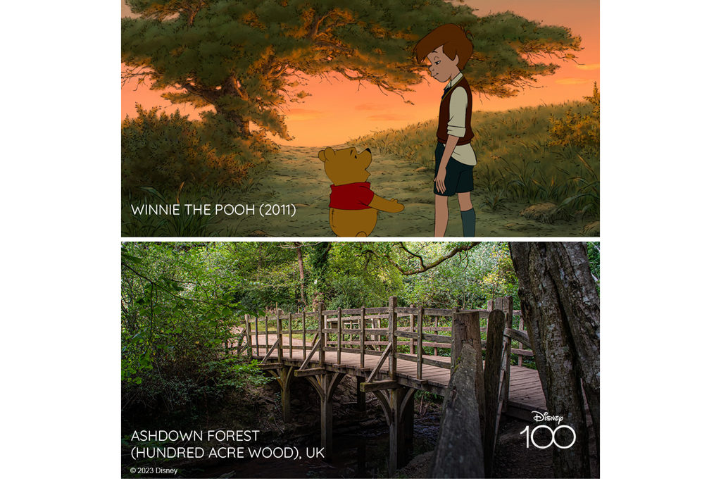 Side by side: Disney's Winnie the Pooh x Ashdown Forest