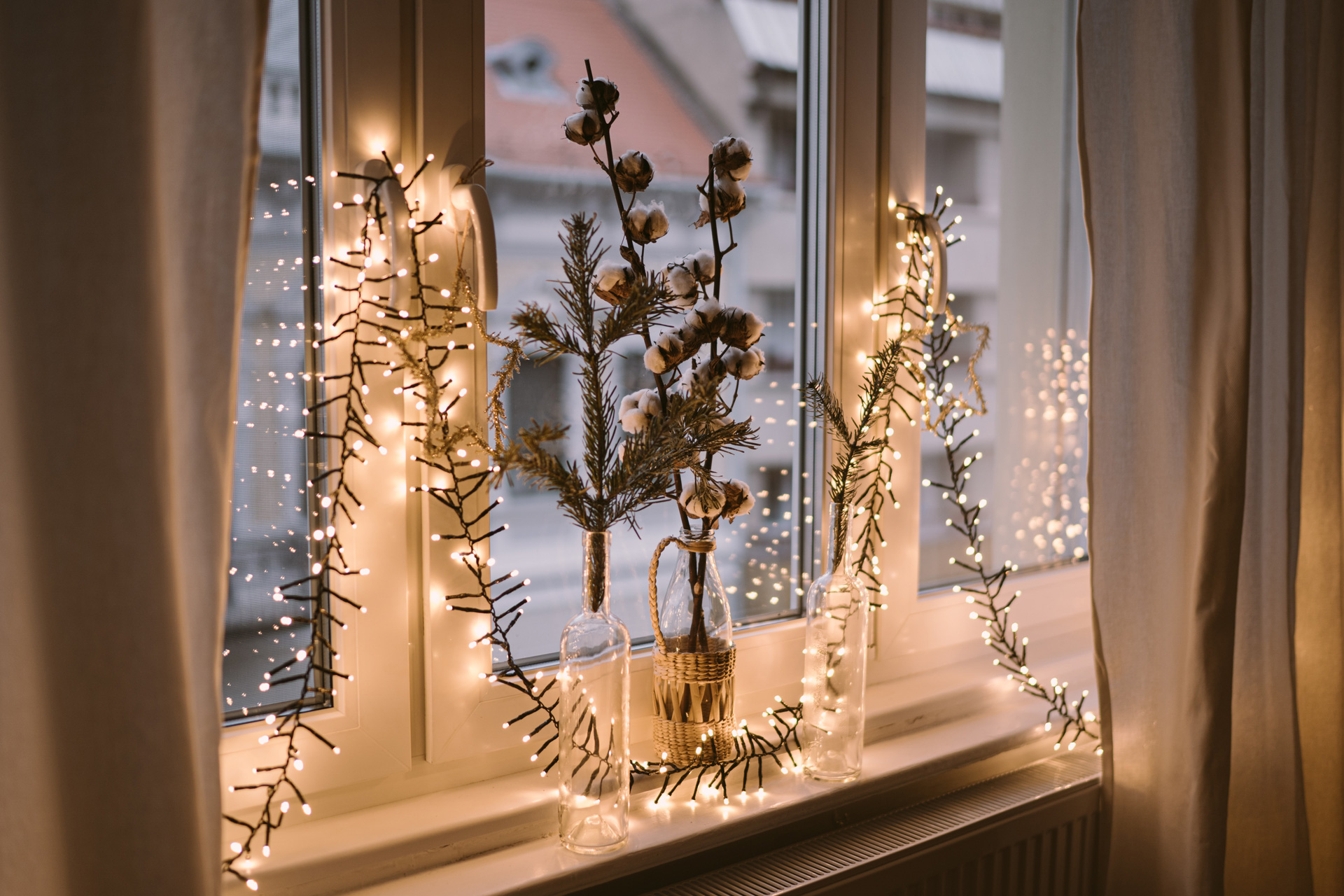 Fairy lights in a window