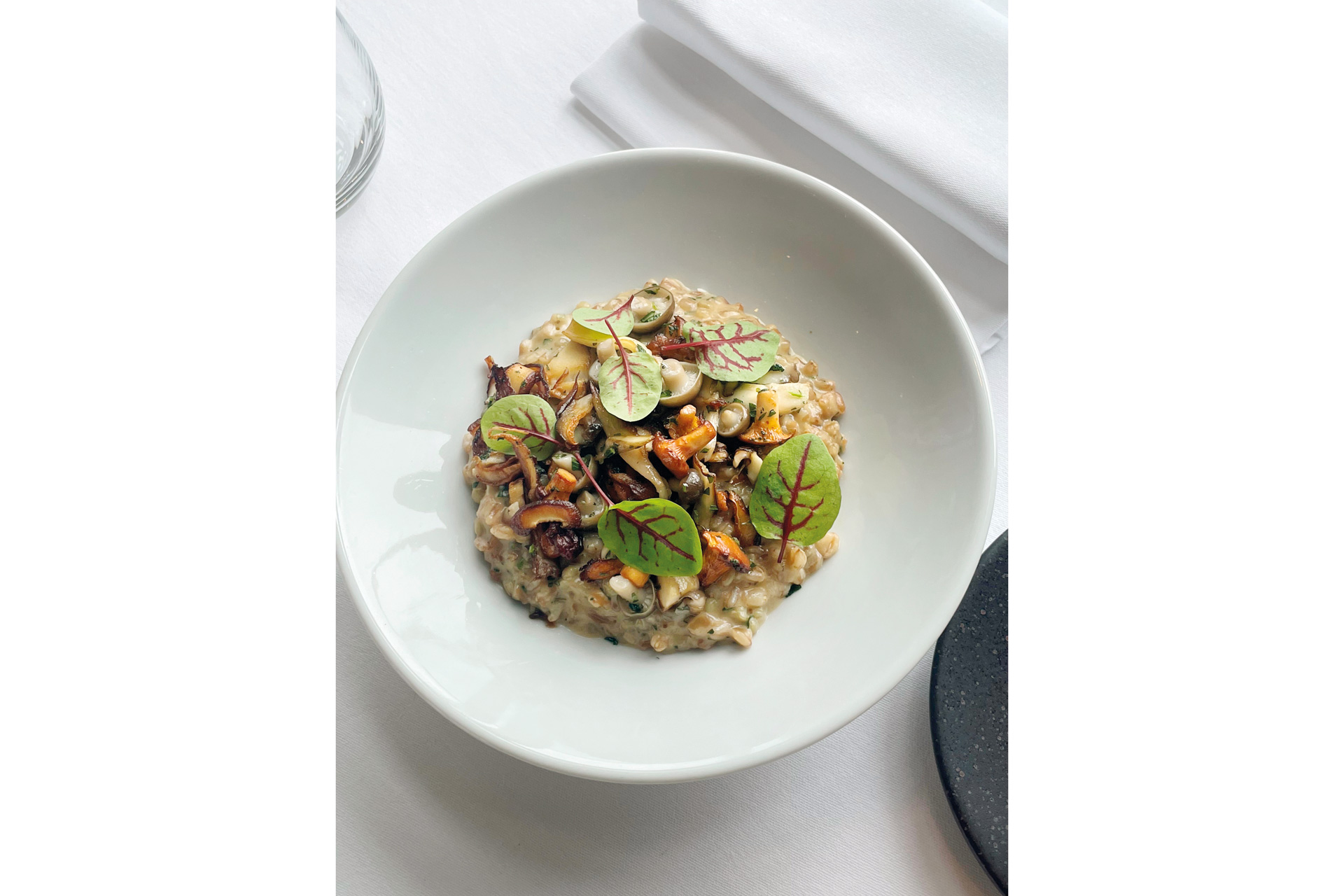 Ancient Grains, Wild Mushroom and Miso