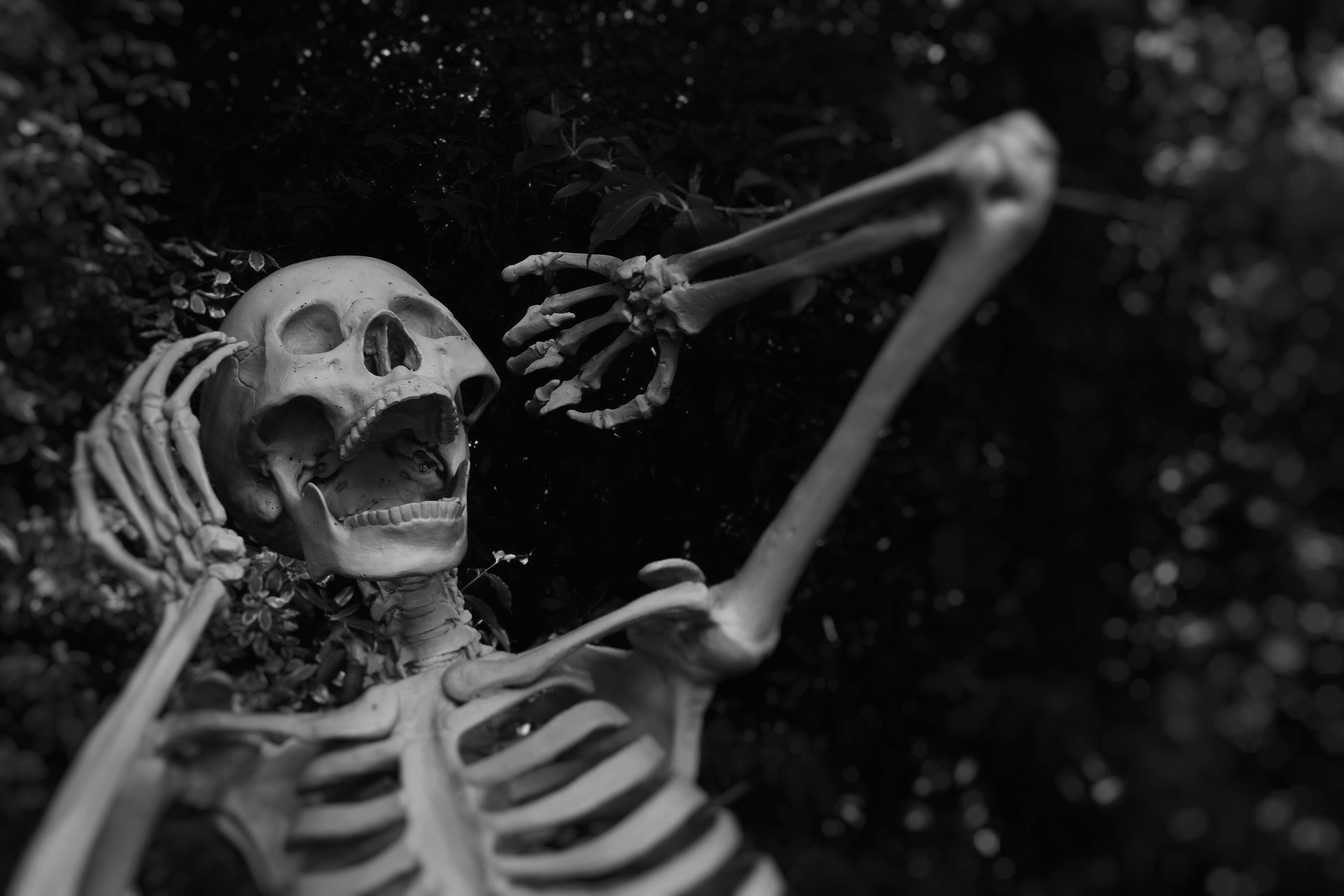 A Halloween skeleton