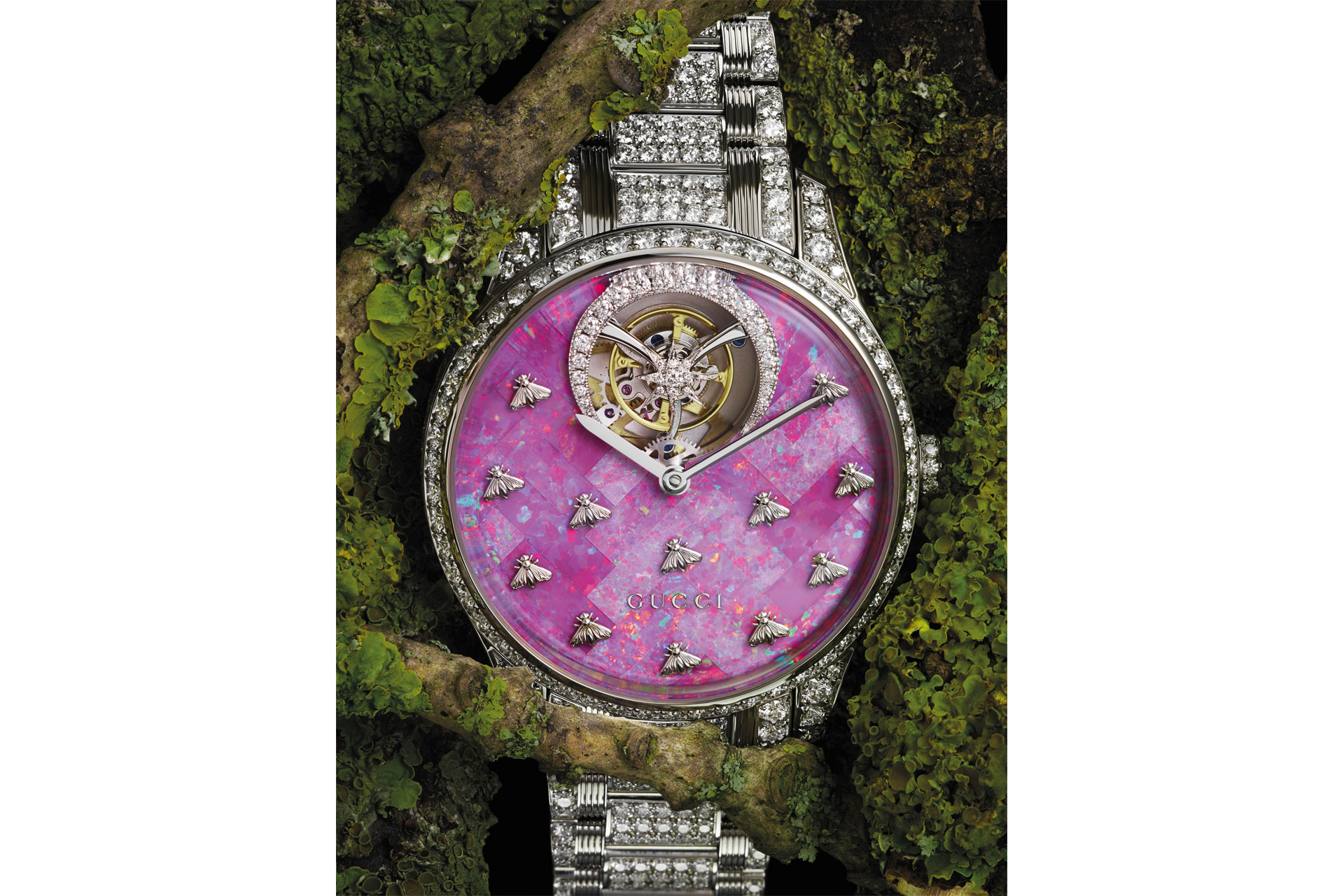Watches shot against nature background