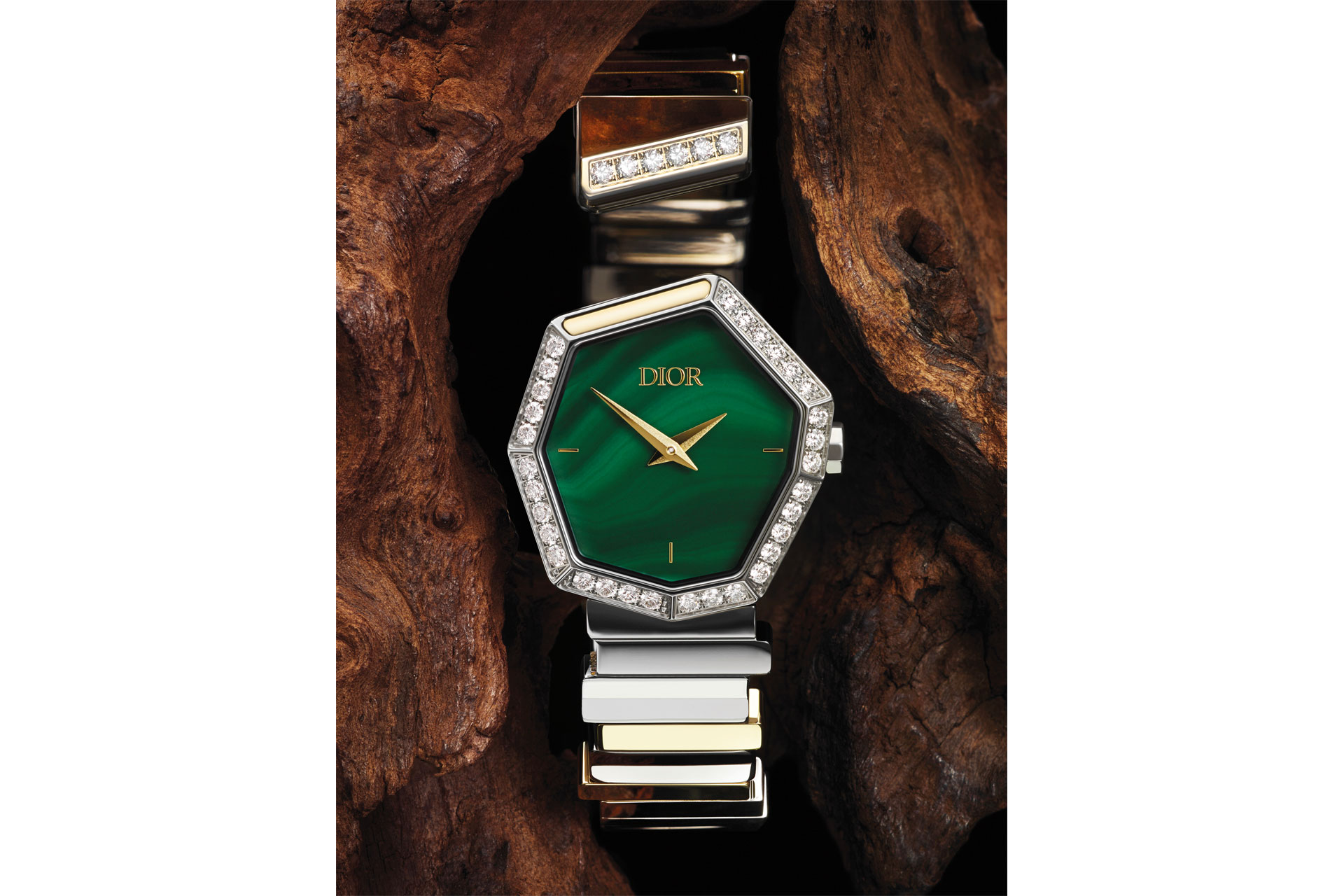 Watches shot against nature background