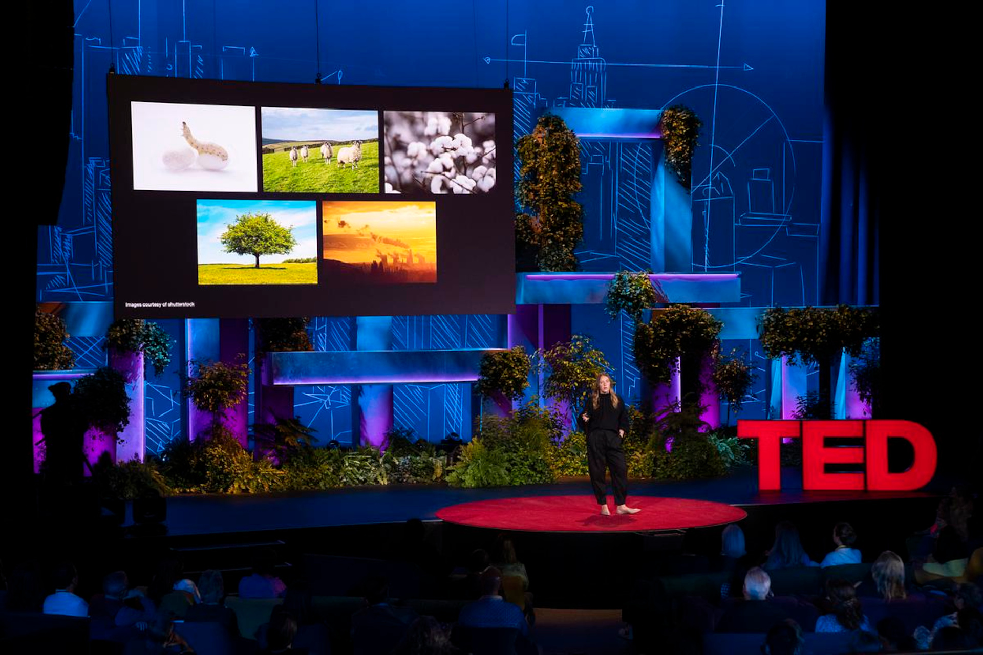 Amy Powney delivering TED Talk