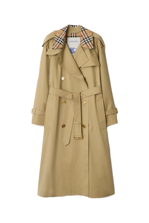 Brown trench coat