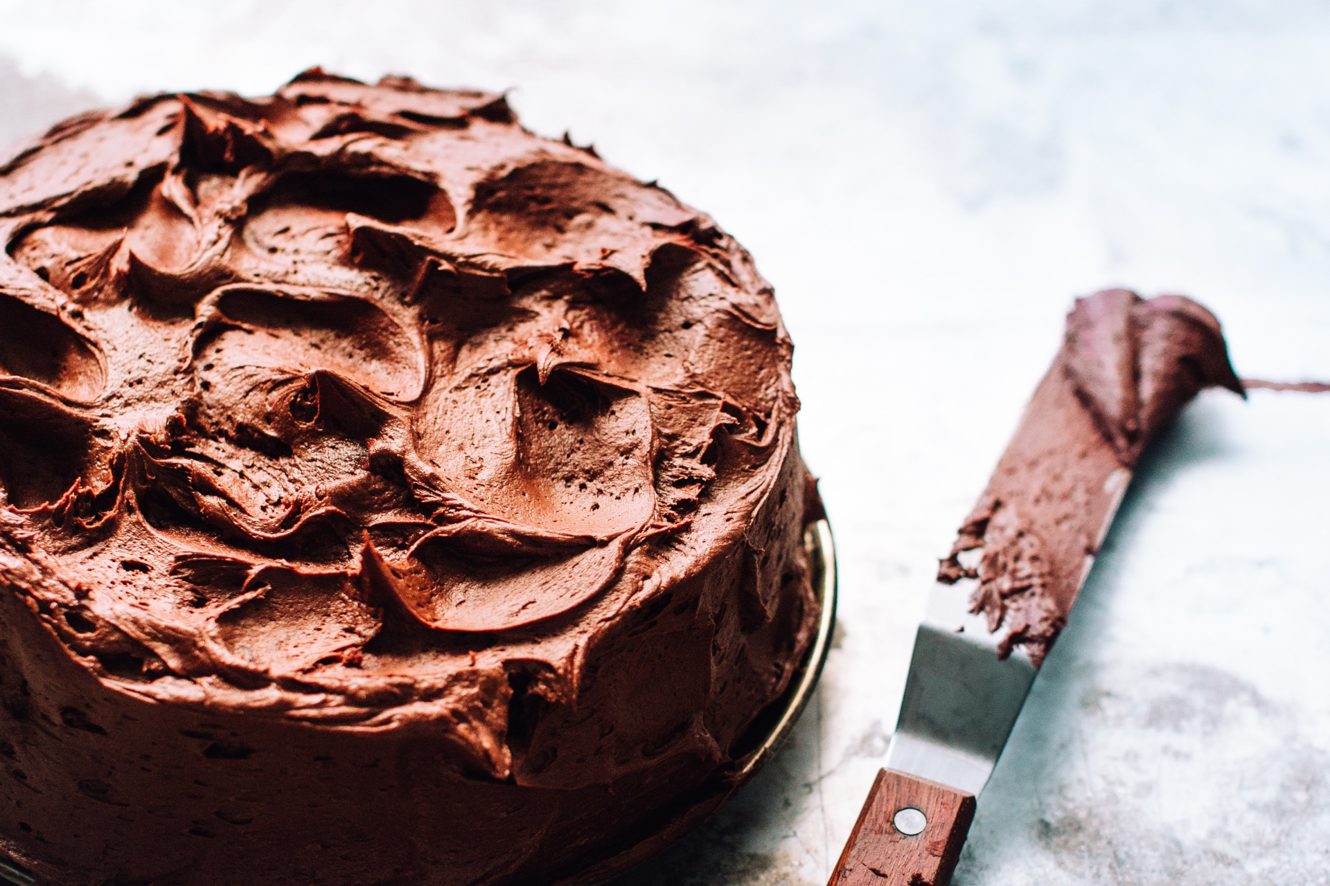 Close up of chocolate cake and palette knife