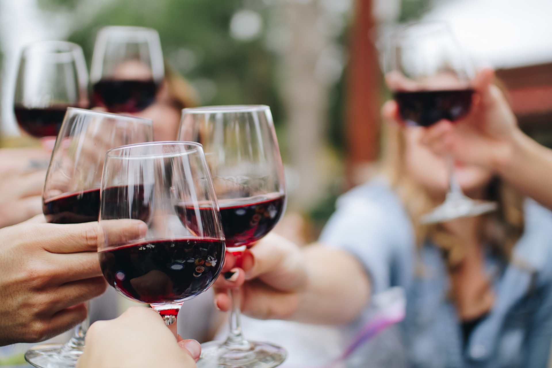 People toasting glasses of wine