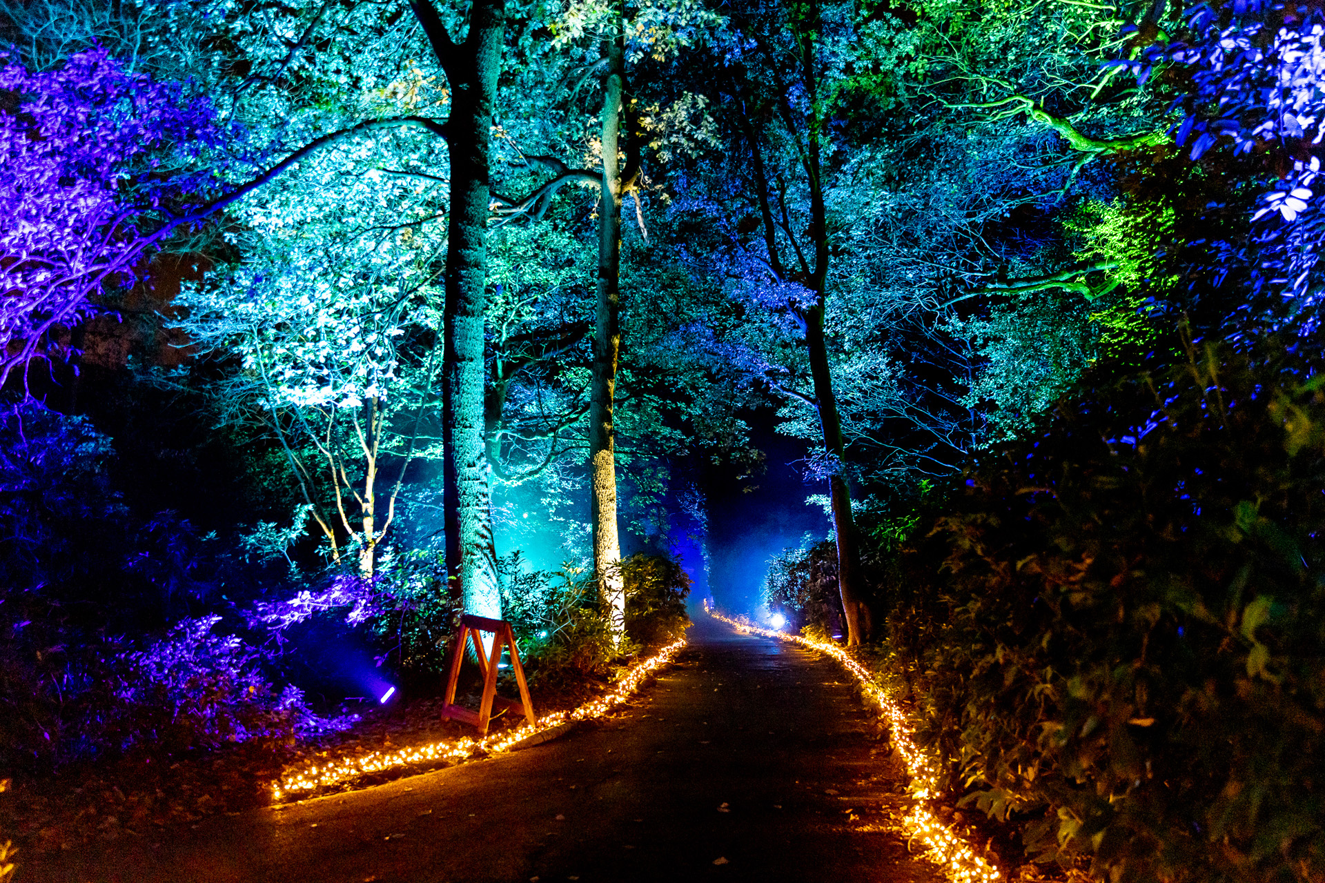 Christmas at Eltham House