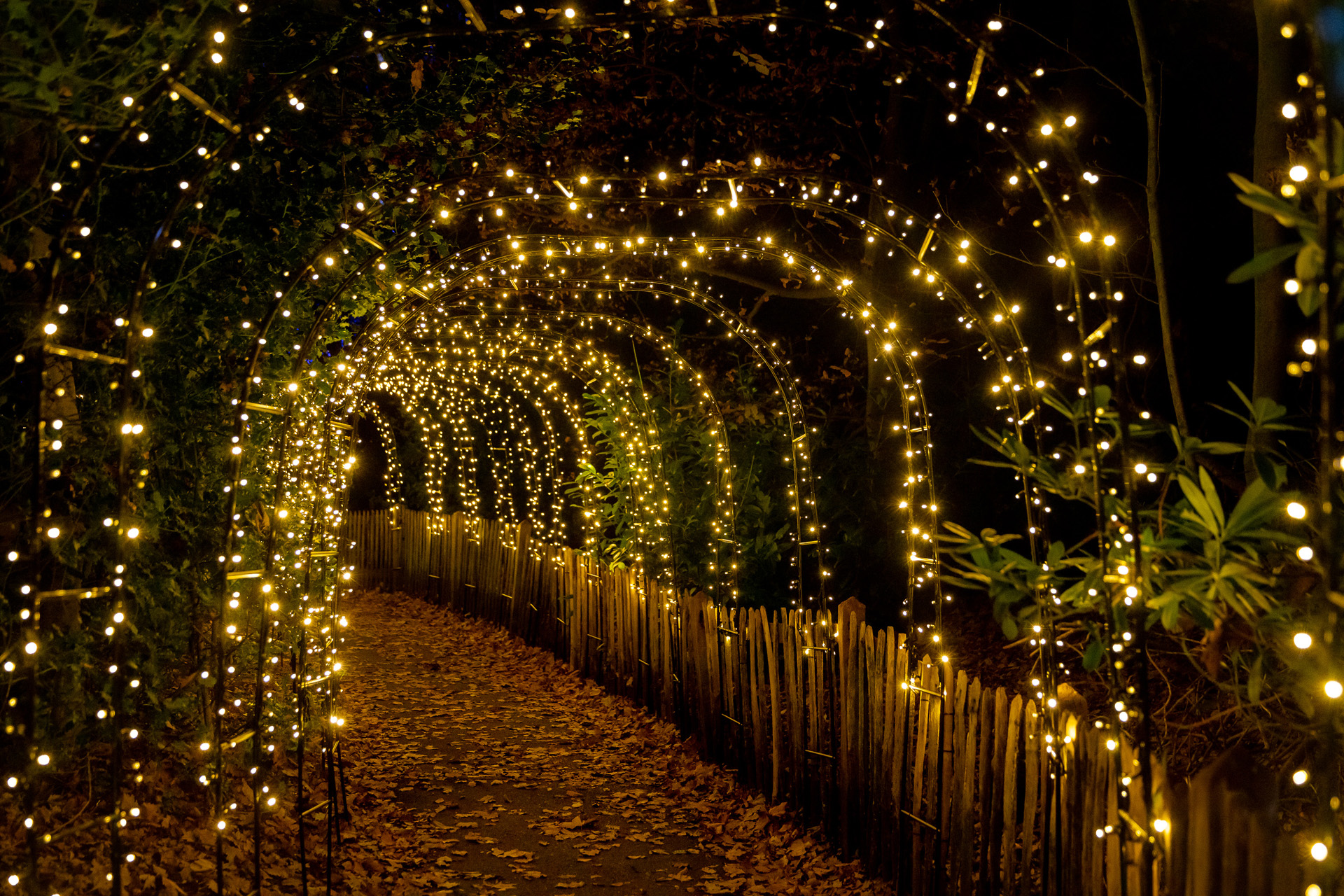 Christmas at Kenwood