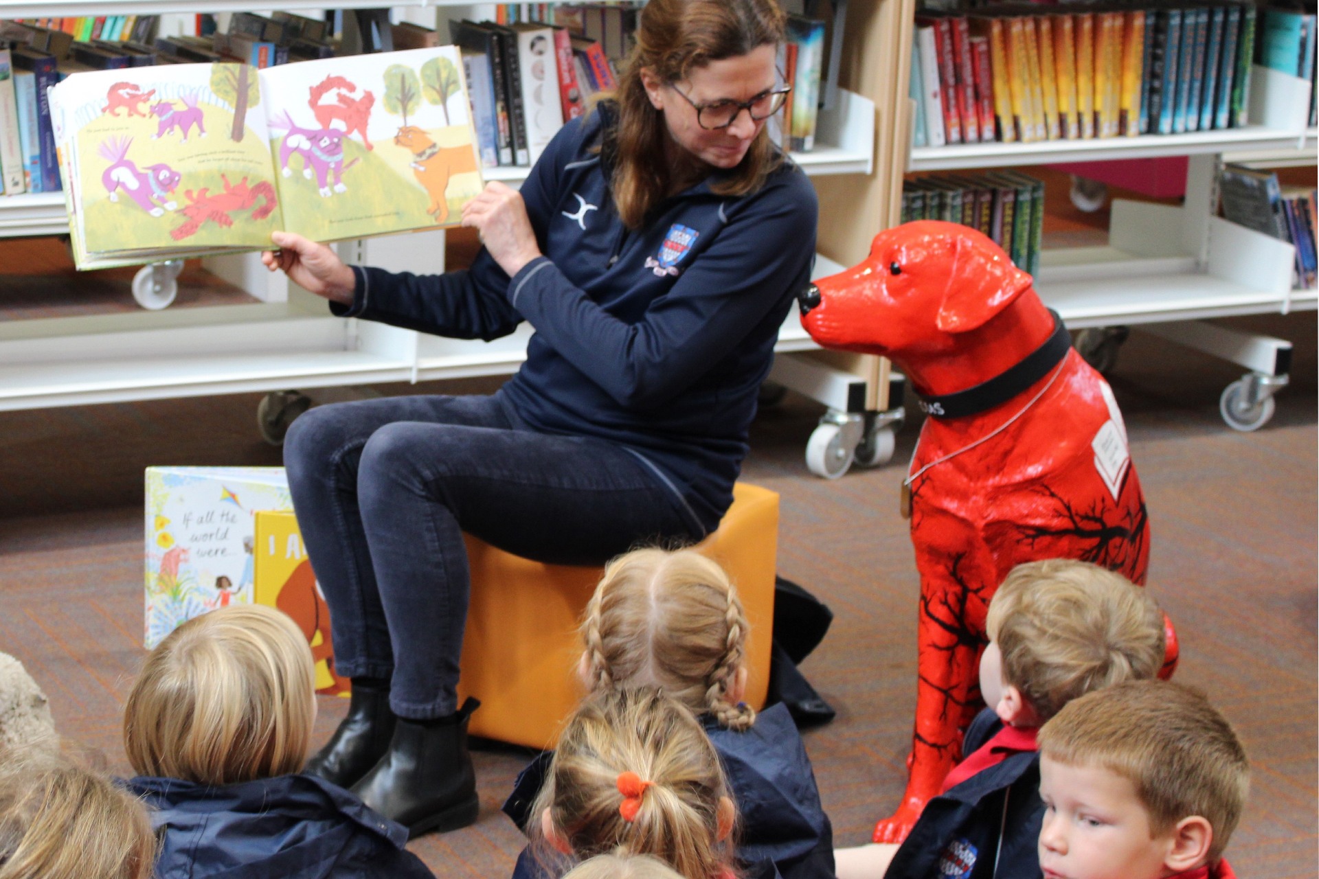 Reading in Woodbridge Library