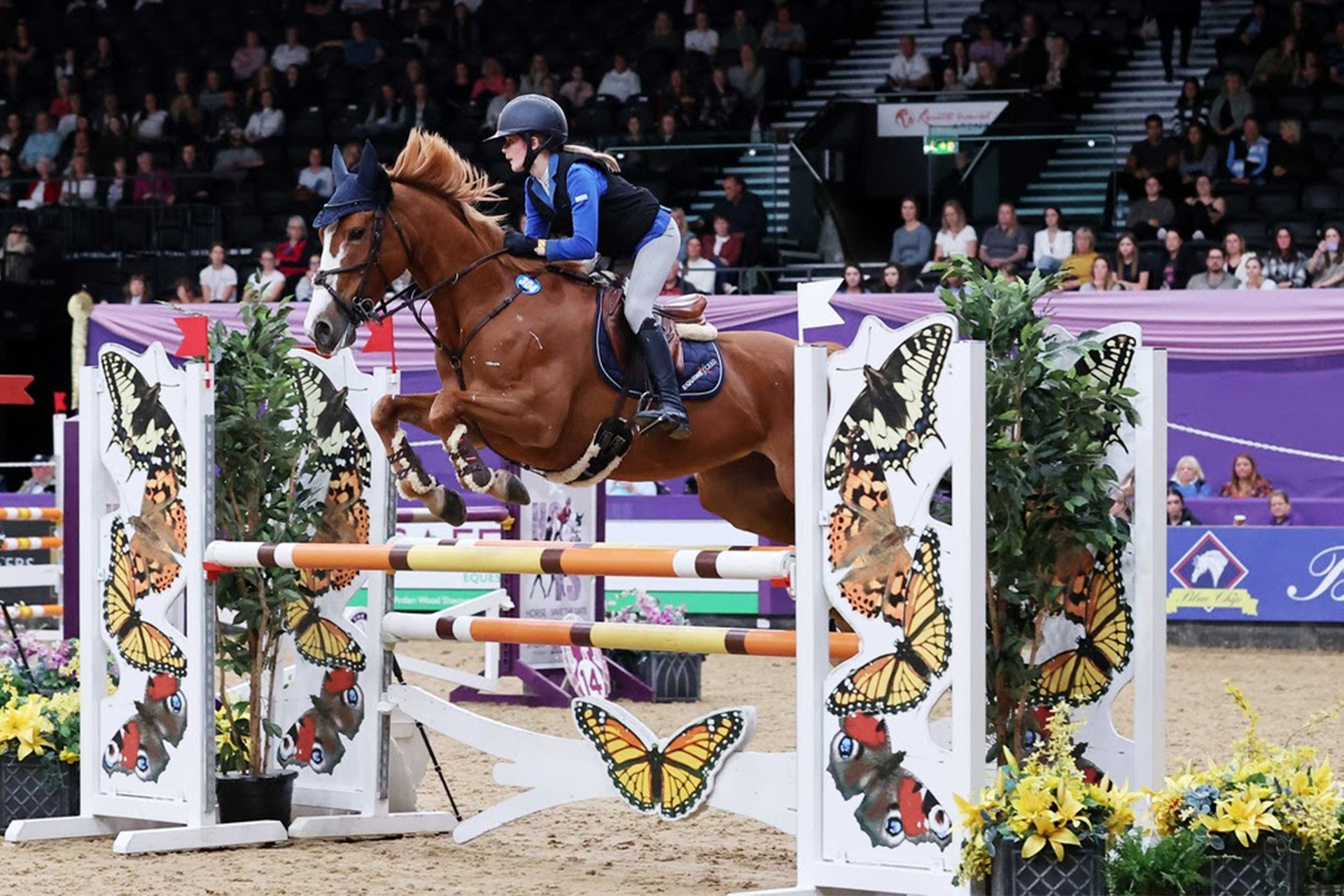 Queen Mary's Pupil, Ella Kay at HOYS