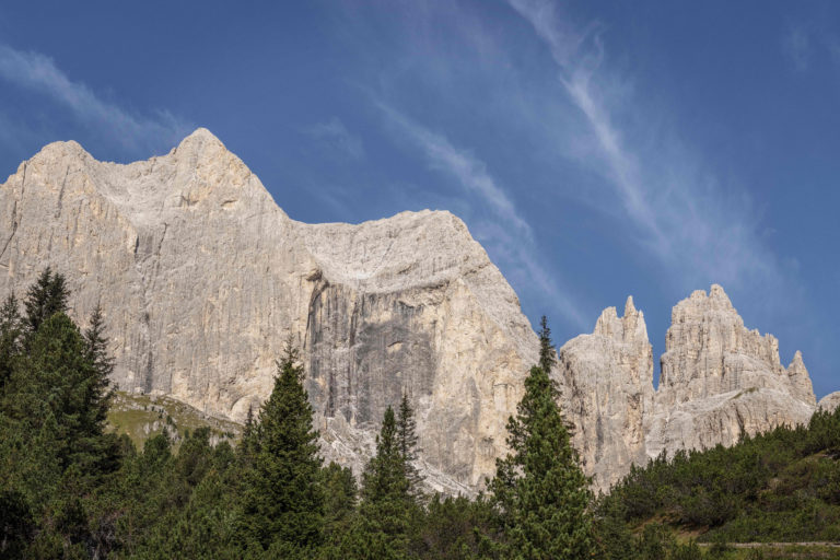 Music In The Trees: Exploring Trentino’s Resonant Forest