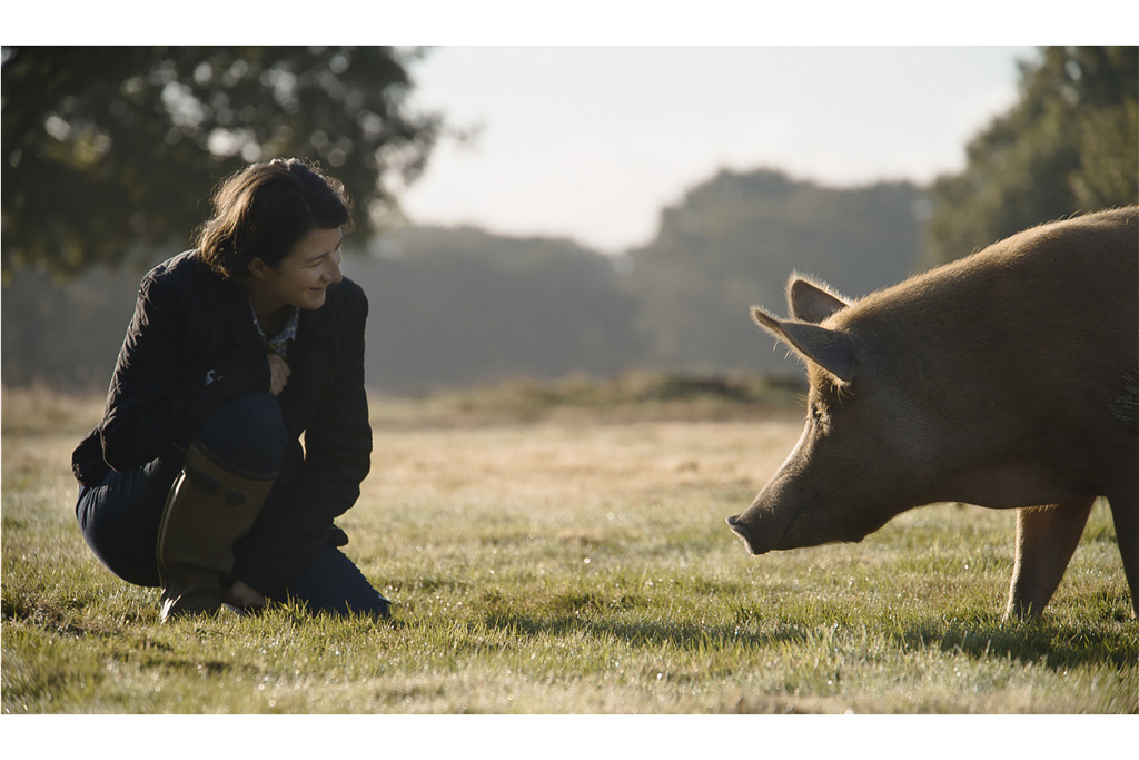 Image shows: Isabella Tree, as played by Rhainnon Hughes, meets a Tamworth pig sow at Knepp