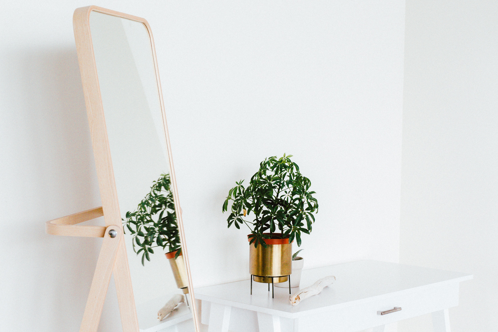 A mirror in a room with a plant