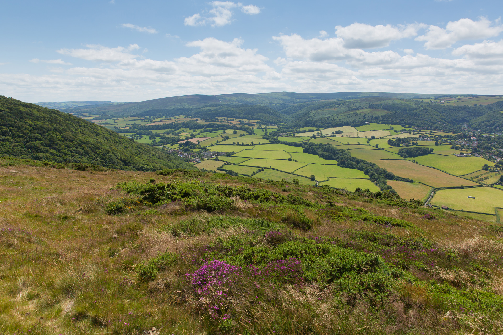 Mendip Hills