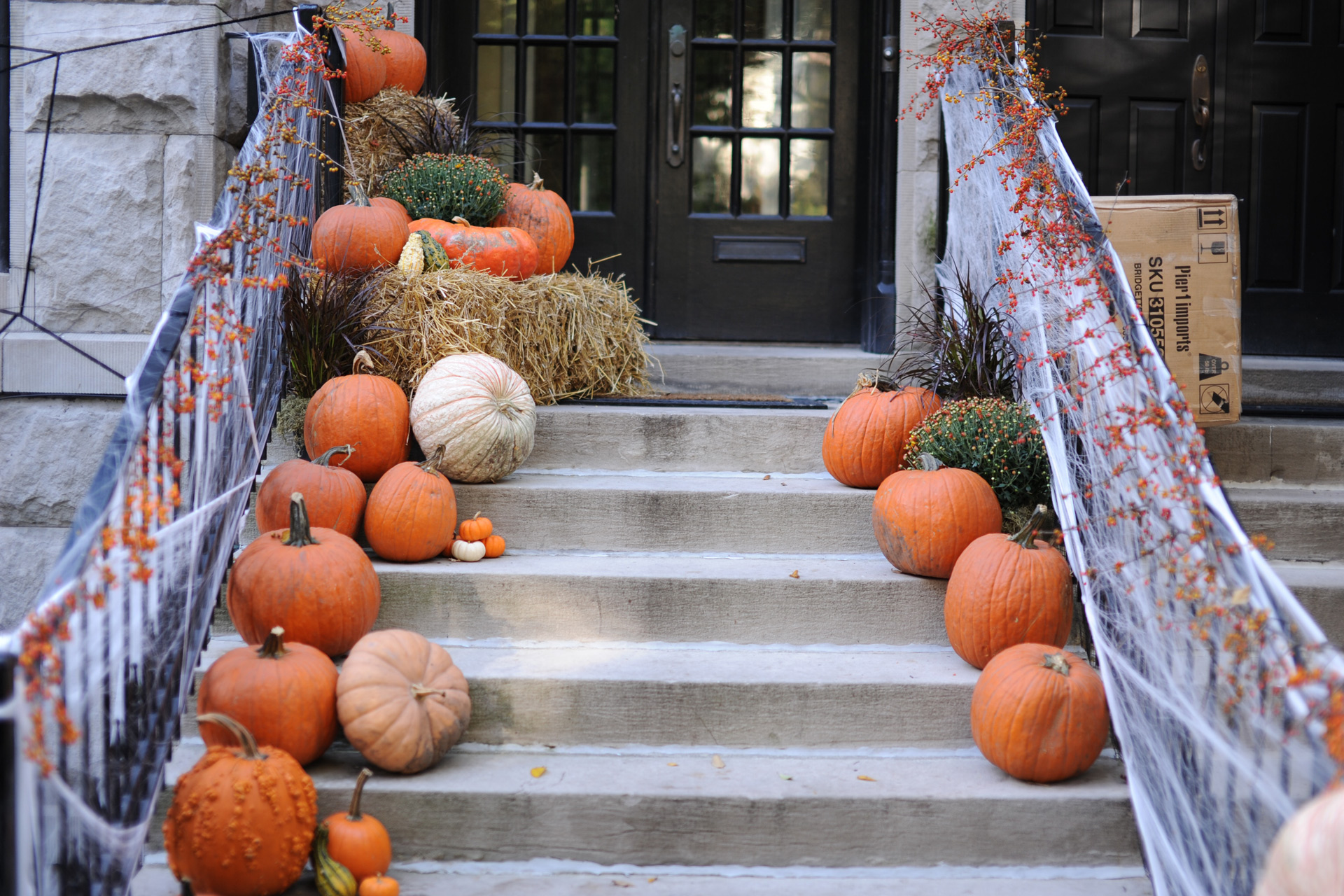 Pumpkins lined up on a doorstep