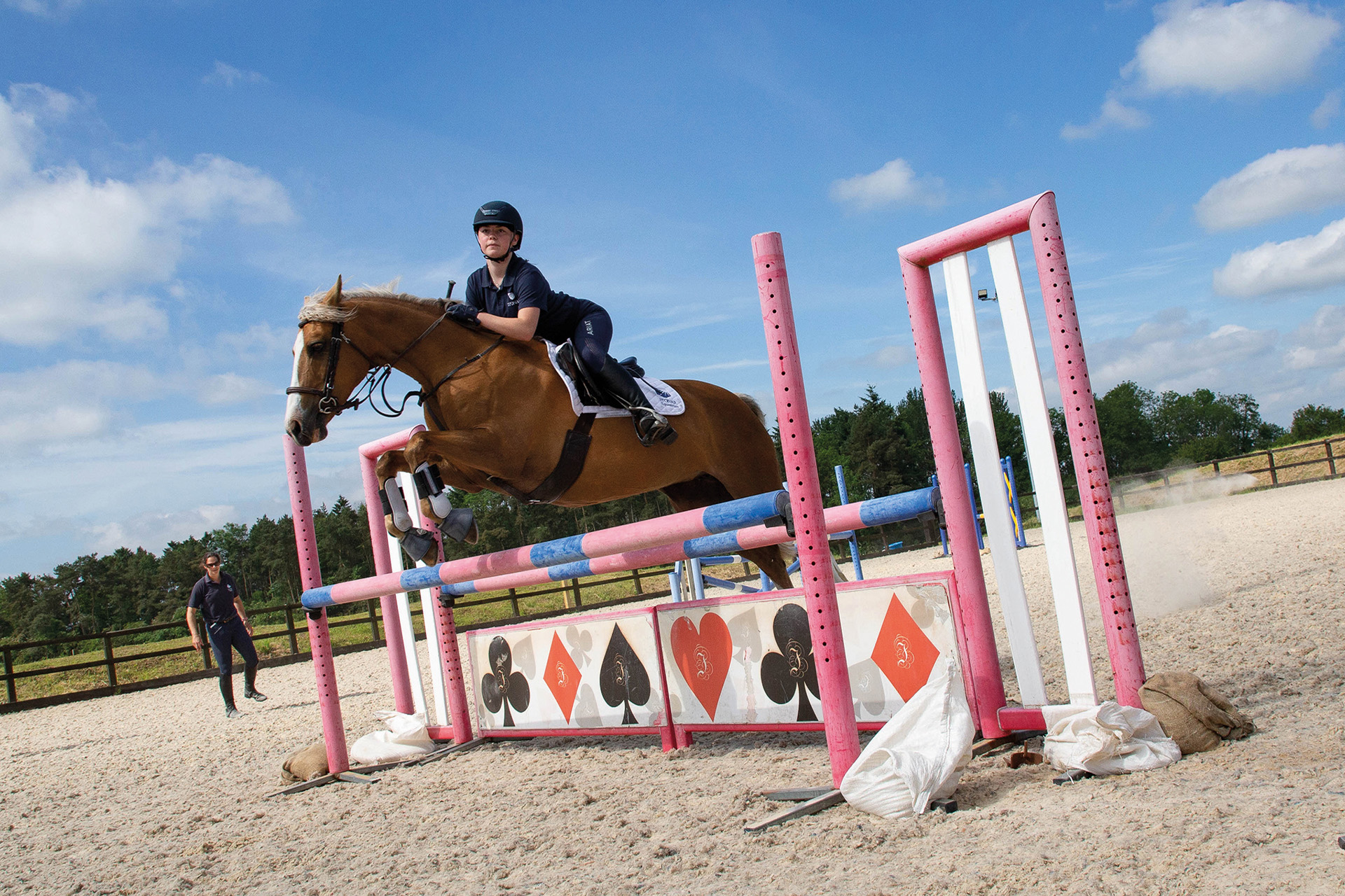 Nine Schools For Equestrian Enthusiasts