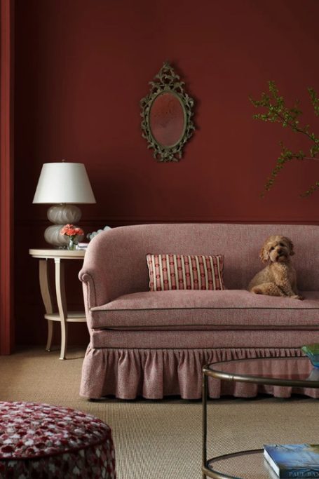 Dog on sofa in red room | British textile designers
