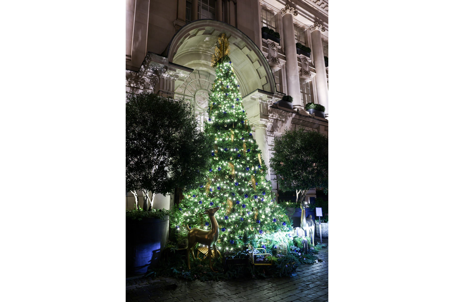 a special Garrard Christmas event at Rosewood London on November 14, 2023 in London, England. The party celebrates the unveiling of the Christmas decorations & special winter pop-up by Ruinart.