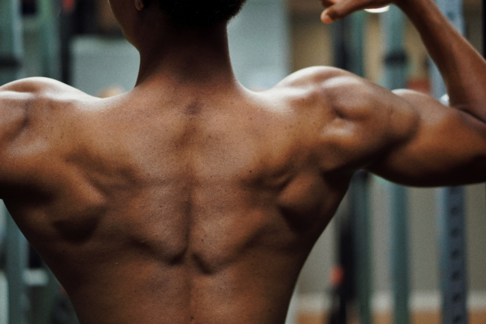Close-up of man's muscled back
