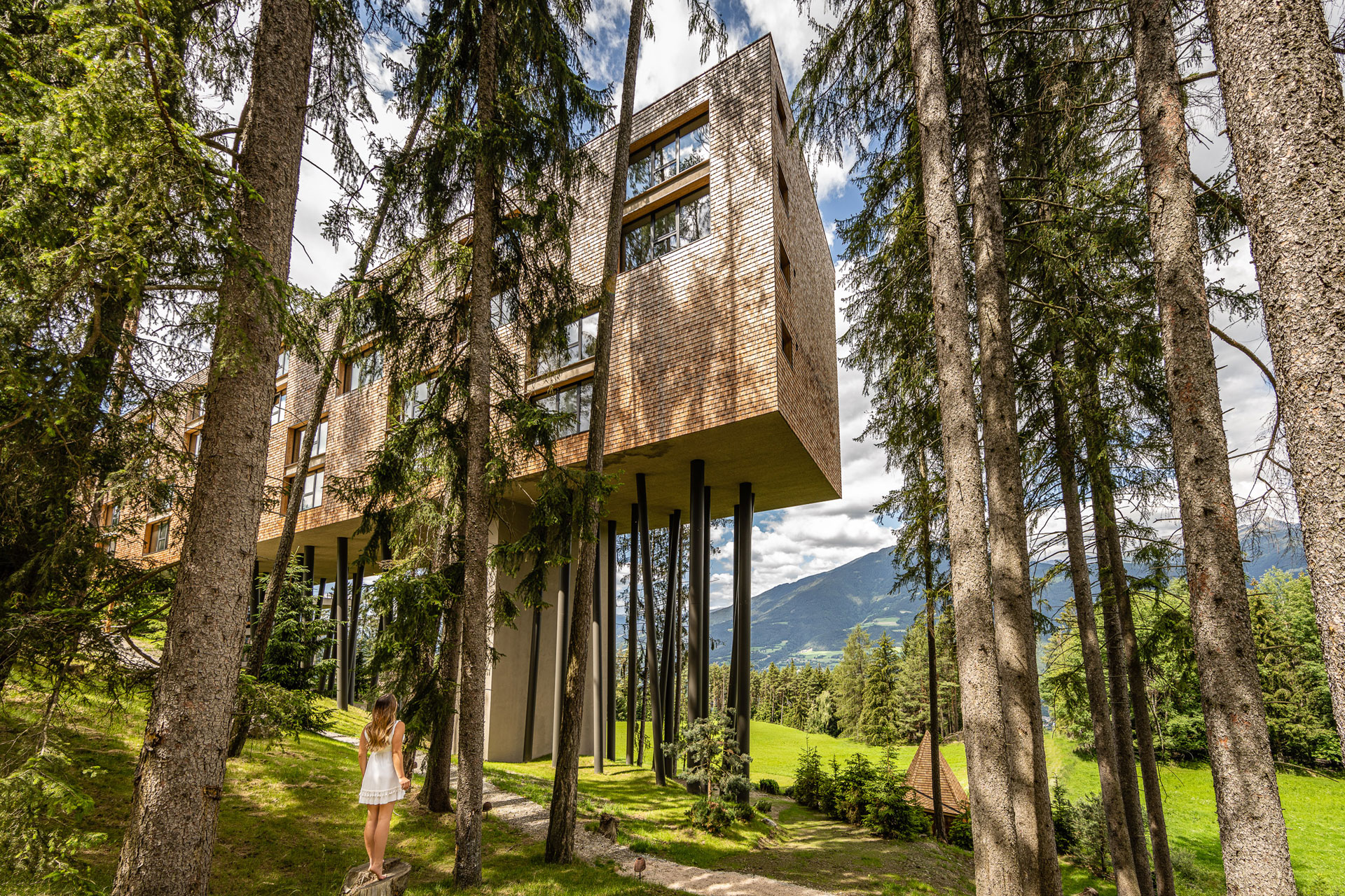 My Arbor: Inside Italy’s Instagram-Famous Treetop Retreat