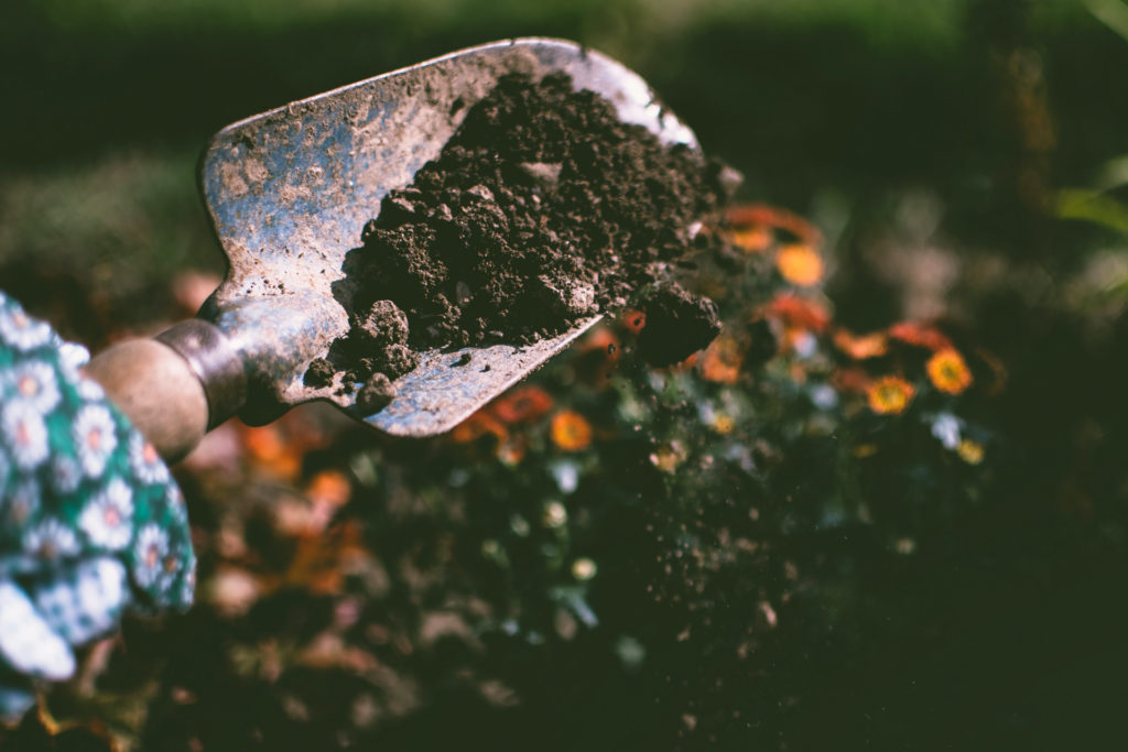 A shovel in some soil