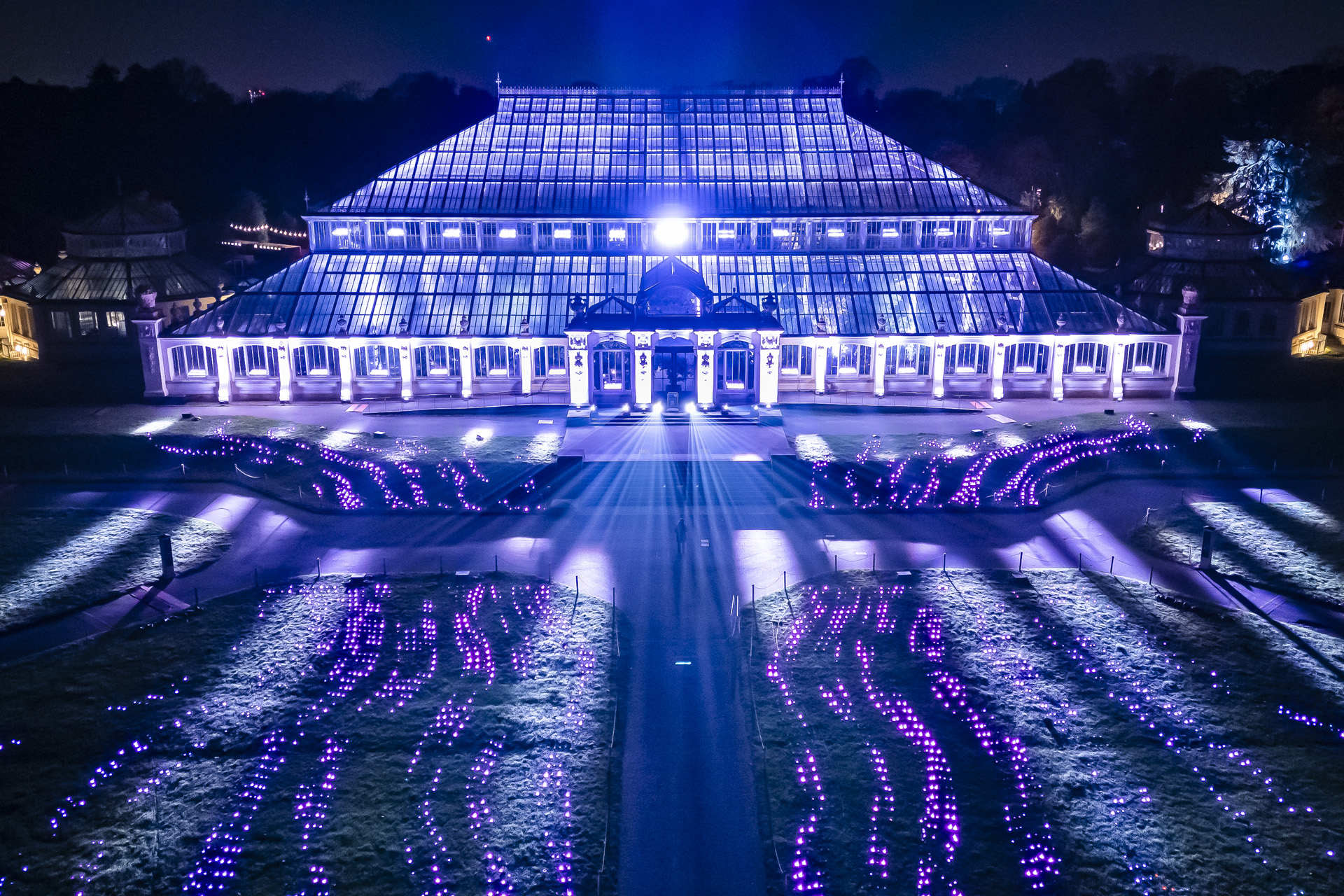 Sea of Light at Christmas at Kew 2024