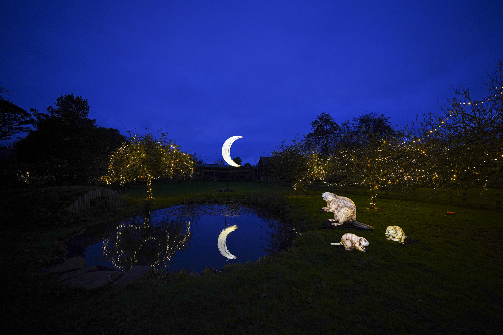 Heligan Night Garden