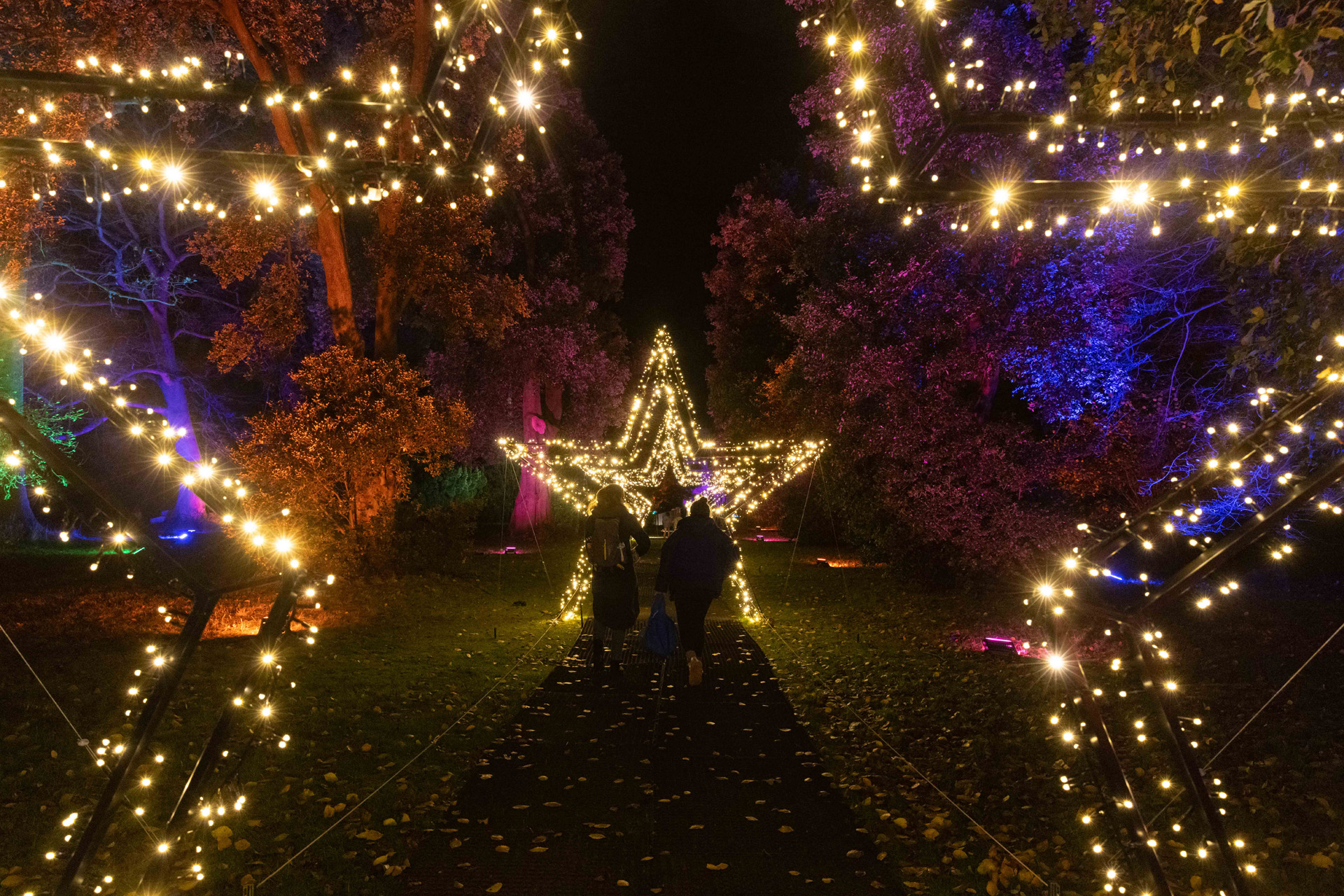 A light up star