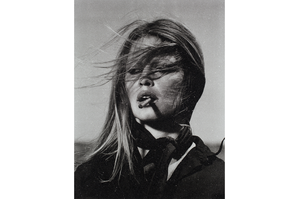 Bardot (Thunder White) 2023. Russell Young. Dreamland