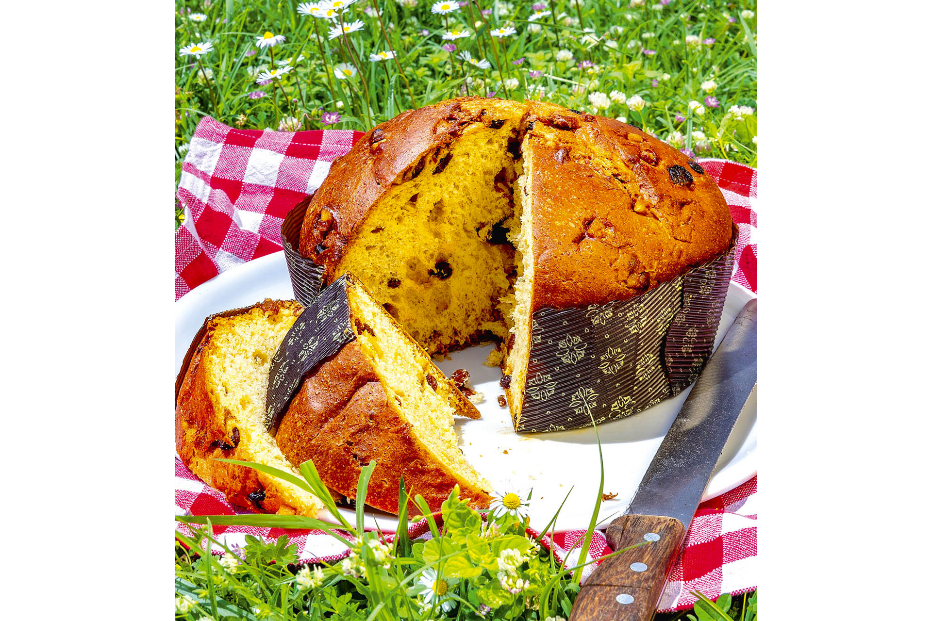 Fattoria La Vialla organic panettone