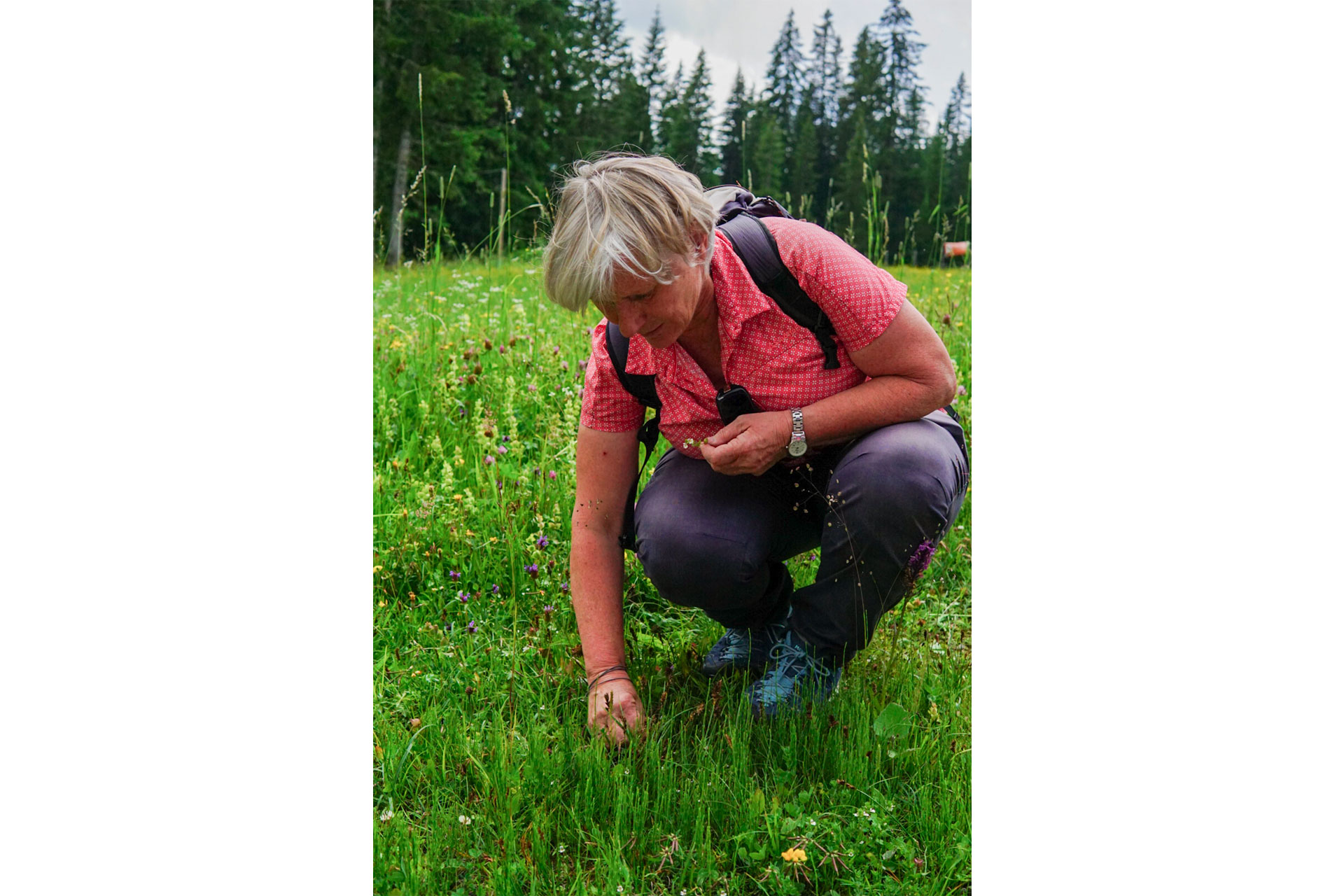 Foraging with Veronika Walch