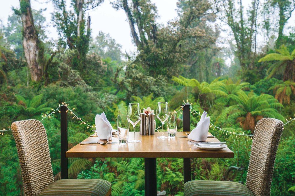 Te Waonui Forest Retreat