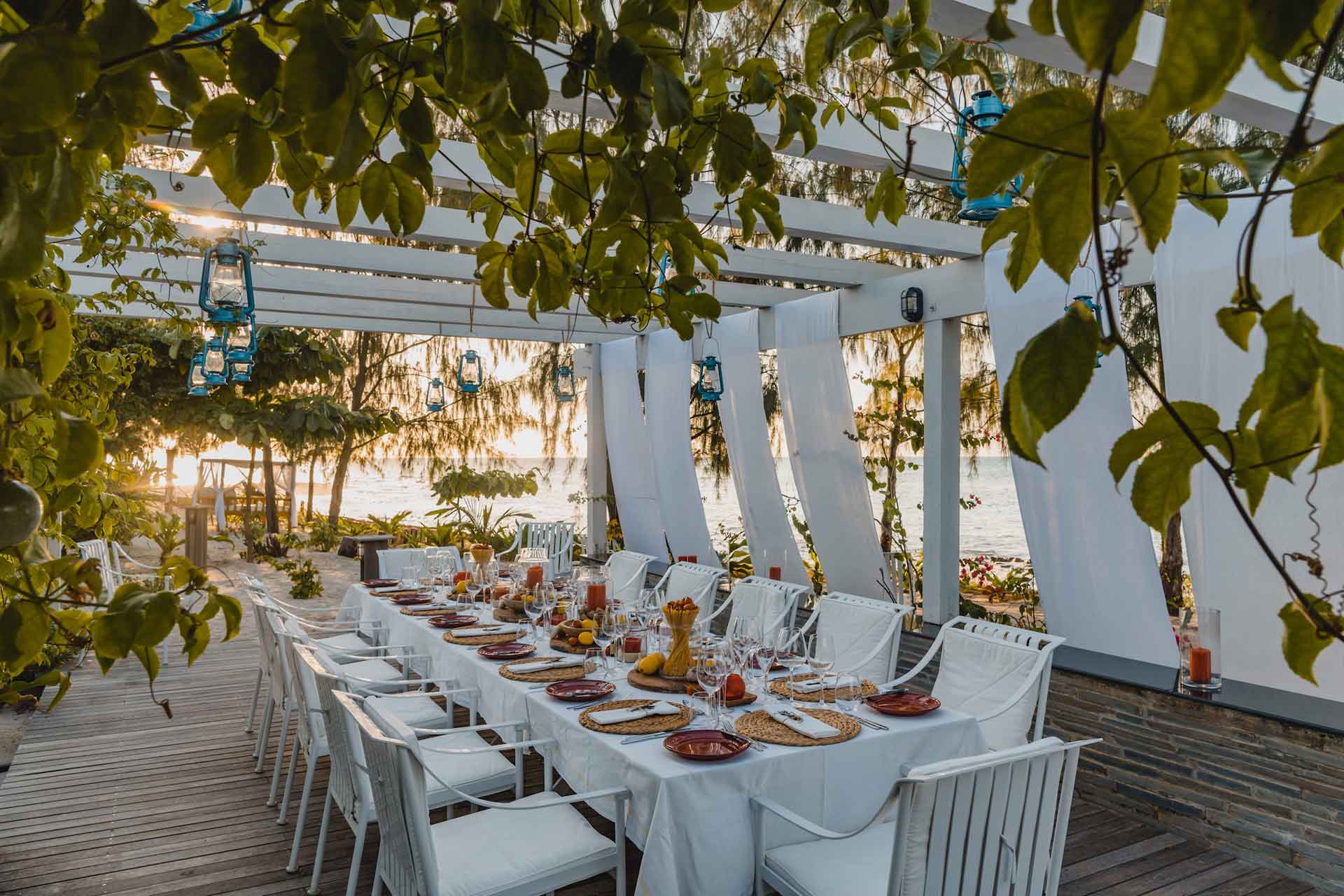 Outdoor dining under a canopy covered in foliage