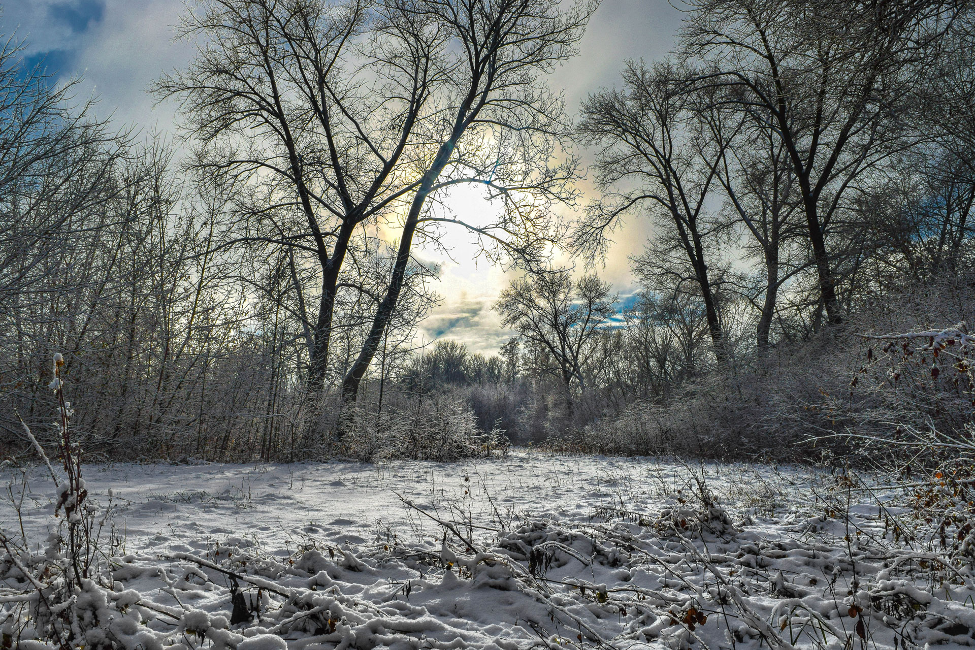 Lydia Millen’s 10 Tips for Connecting With Nature This Winter