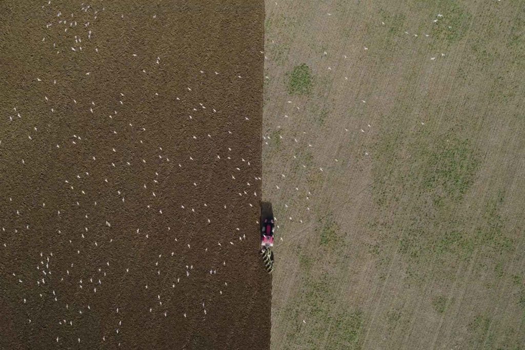 Aerial view of farmer tending to soil