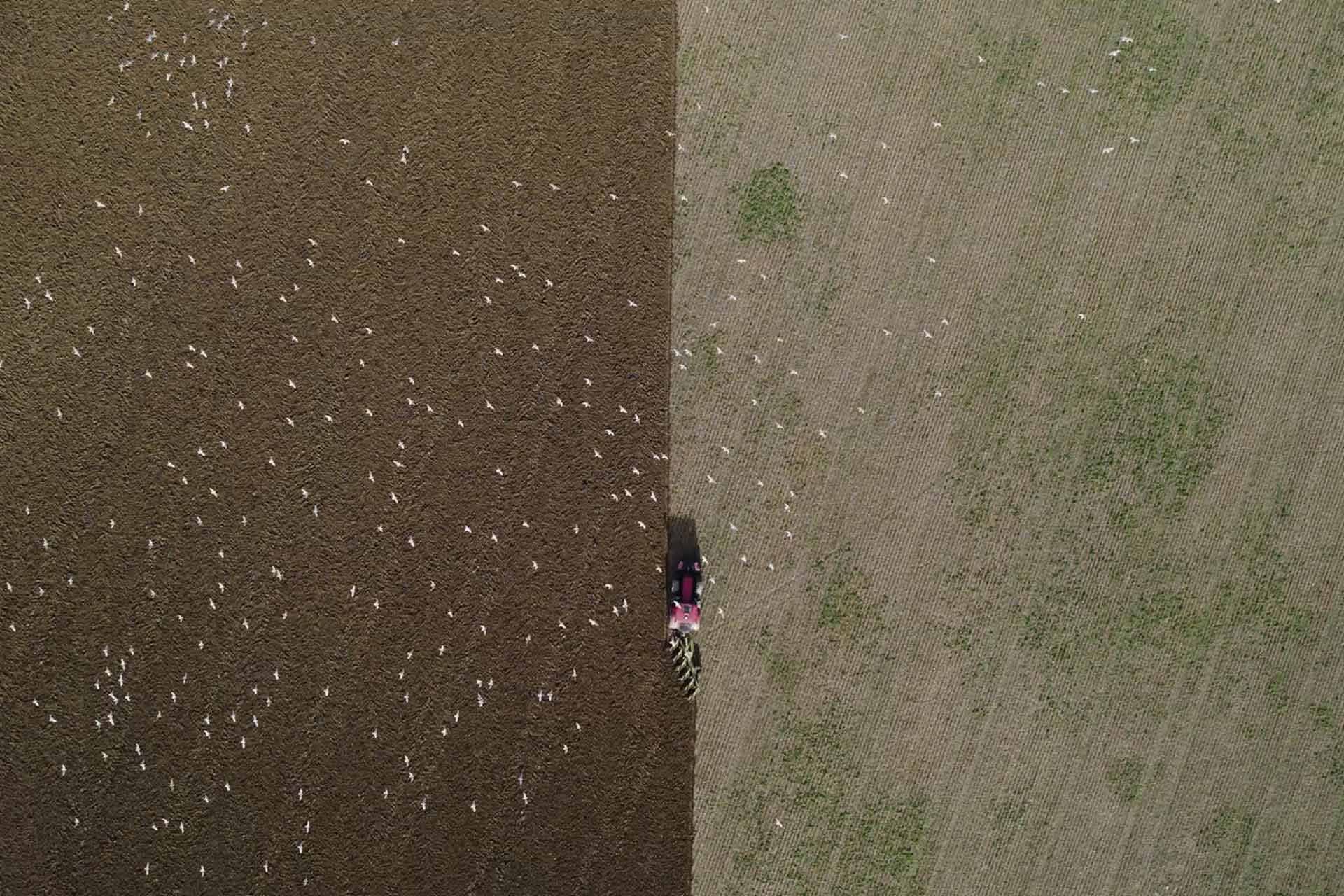 Six Inches Of Soil: The New Film Celebrating British Farmers