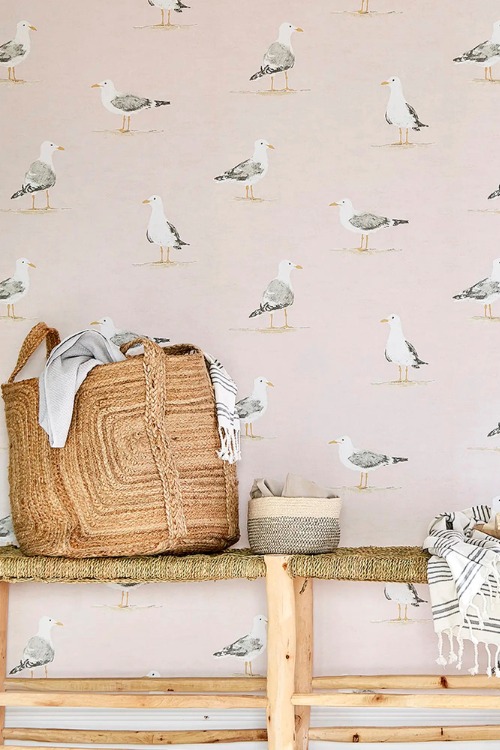 Seagull wallpaper
