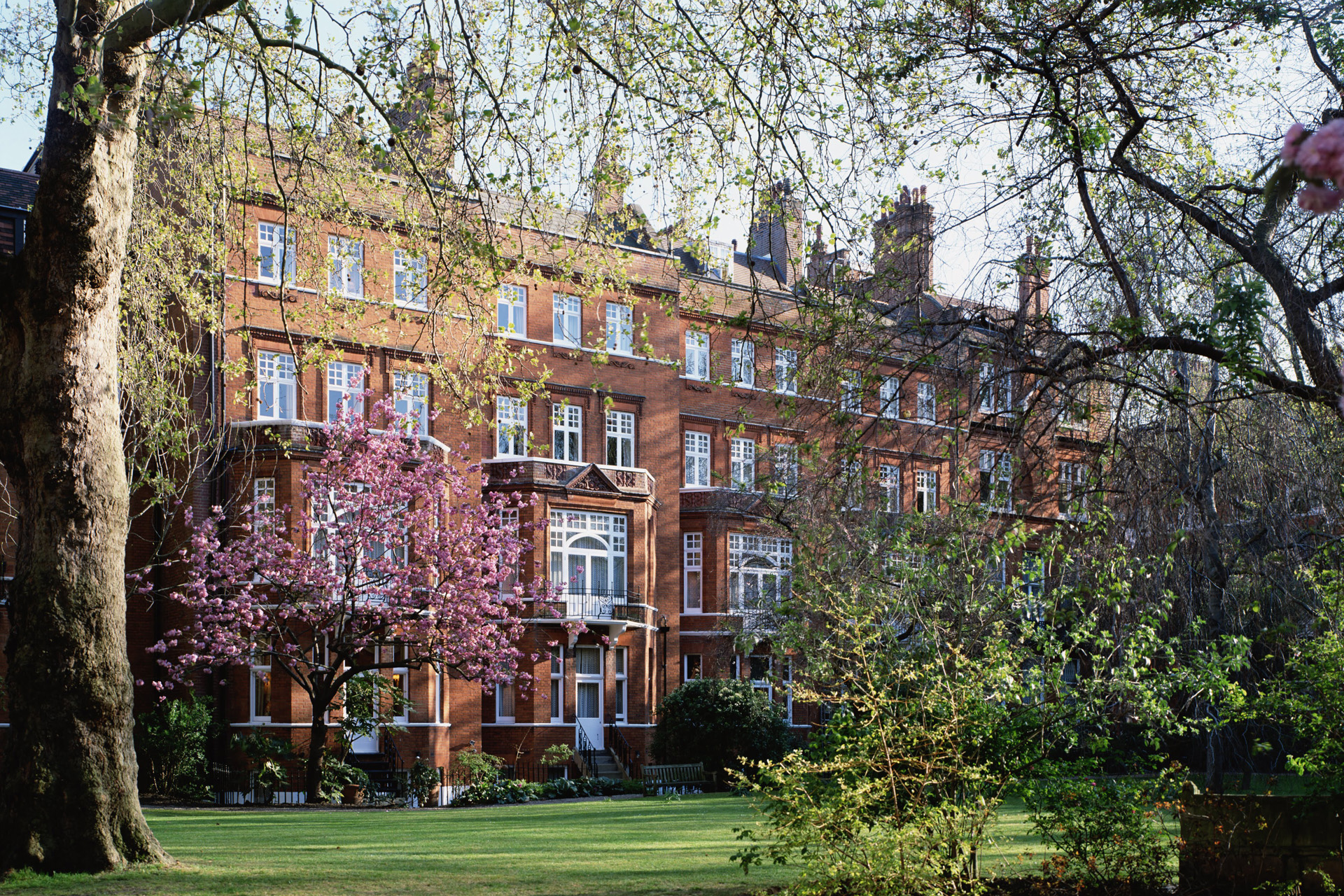 Blossoming gardens at The Chelsea Townhouse