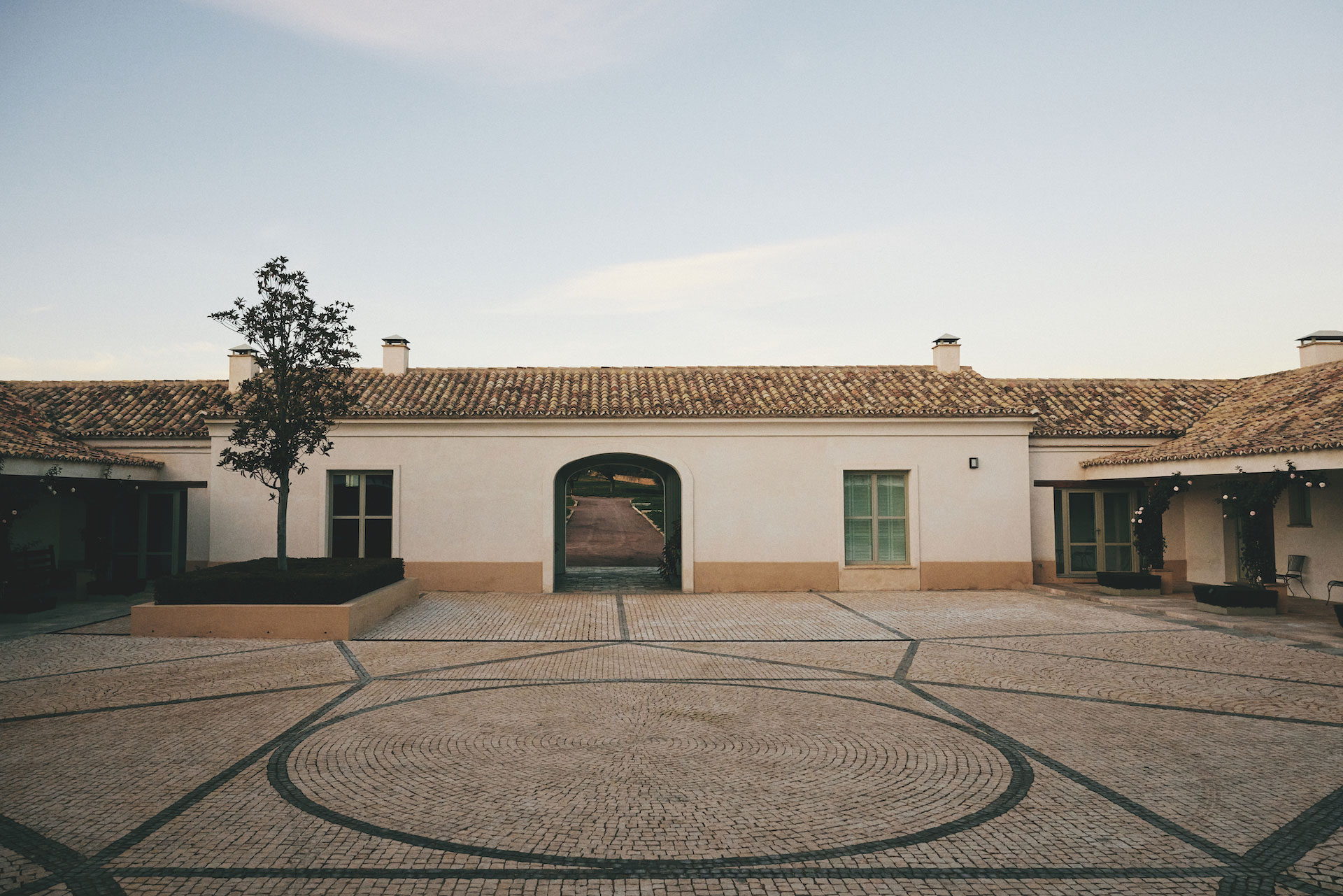 Caballo de Hiero shoot