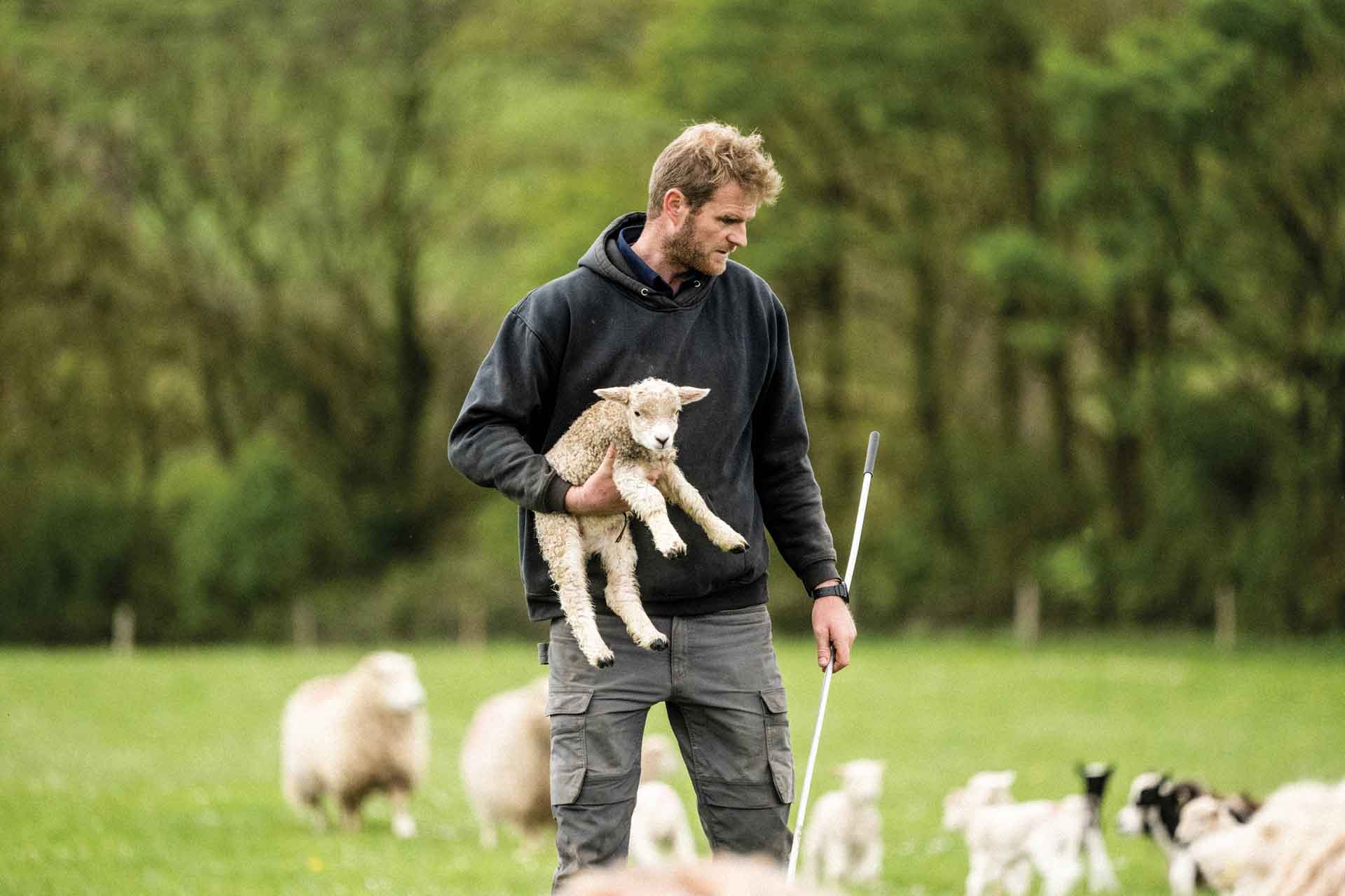 Farmer in a field holding a lamb.