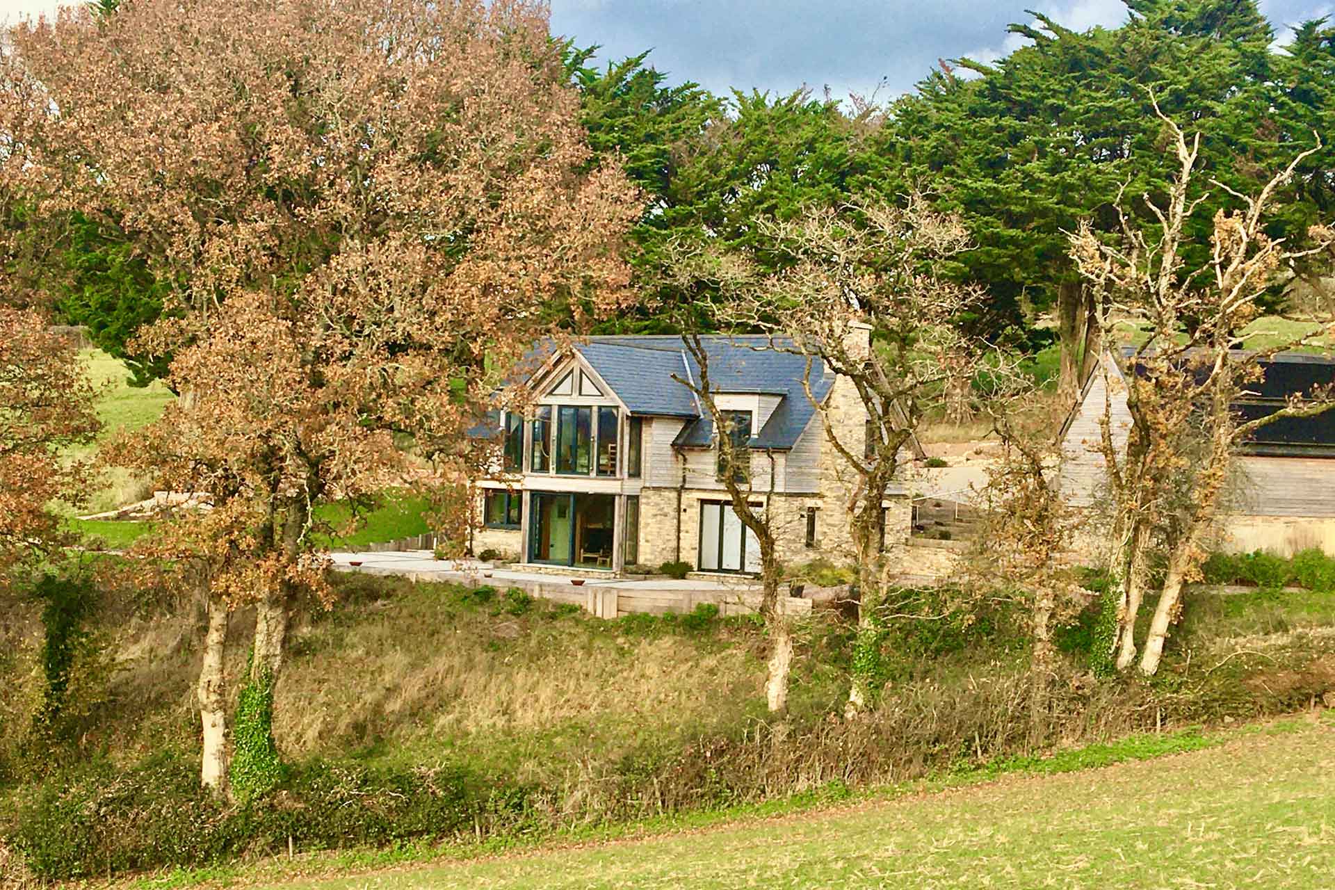 Exterior of modern wood-clad home with trees surrounding