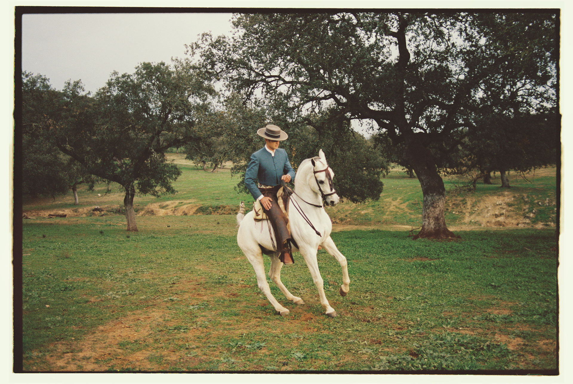 Man in blue jacket rides white horse